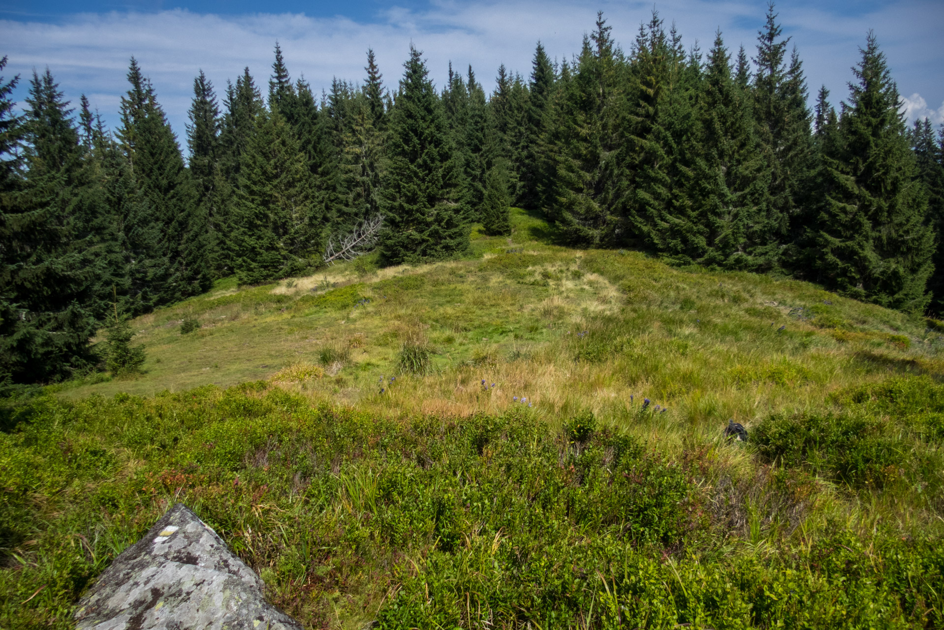 Poľana, Bôr a Siná za jeden deň (Nízke Tatry)