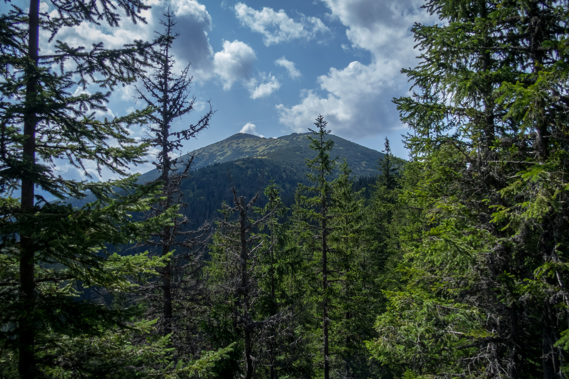 Poľana, Bôr a Siná za jeden deň (Nízke Tatry)