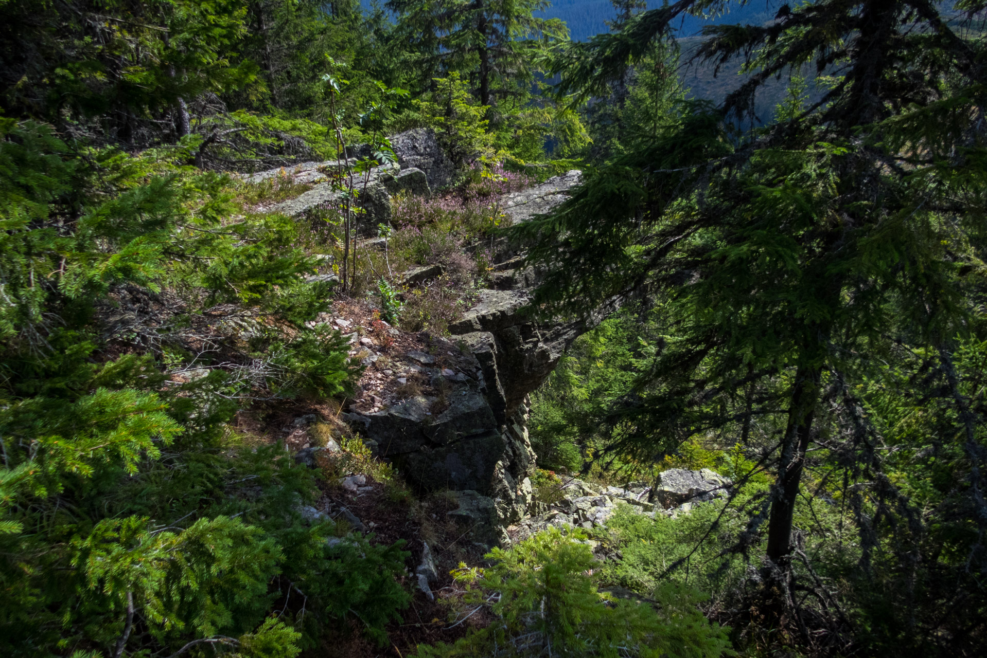 Poľana, Bôr a Siná za jeden deň (Nízke Tatry)