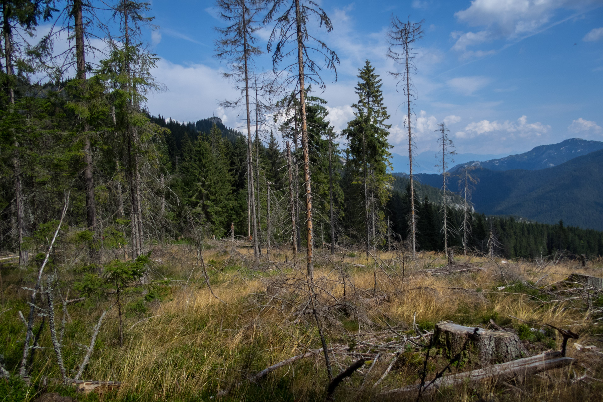 Poľana, Bôr a Siná za jeden deň (Nízke Tatry)