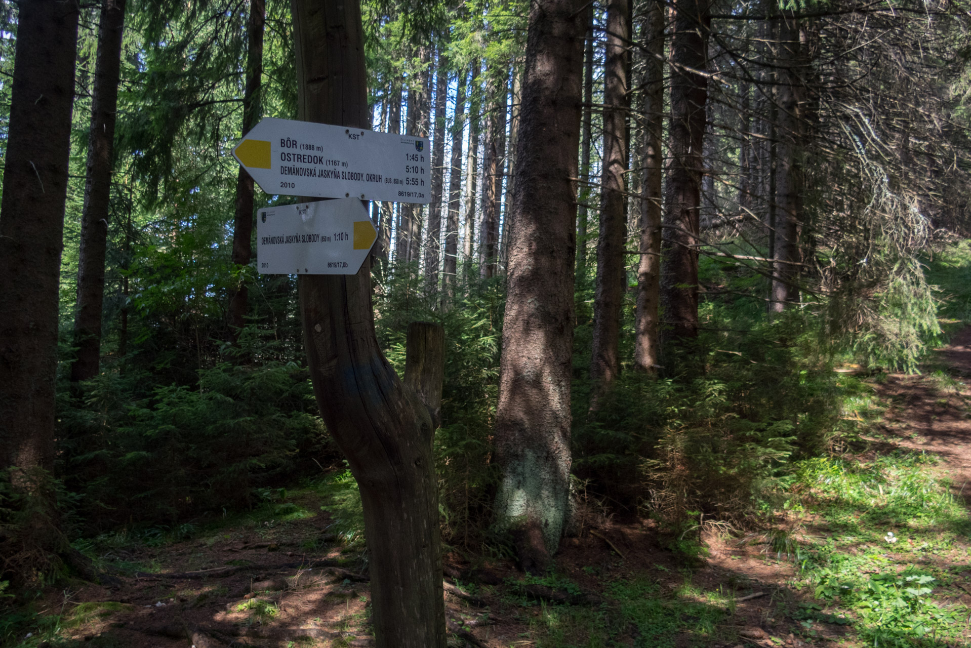 Poľana, Bôr a Siná za jeden deň (Nízke Tatry)