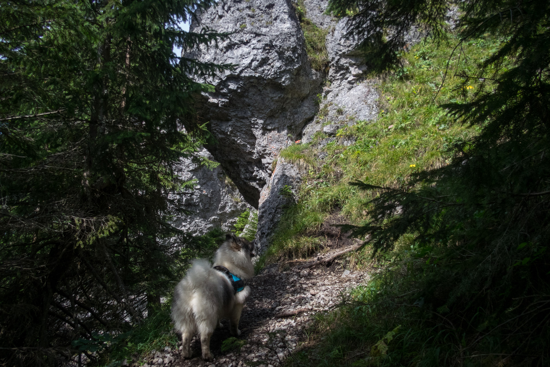 Poľana, Bôr a Siná za jeden deň (Nízke Tatry)