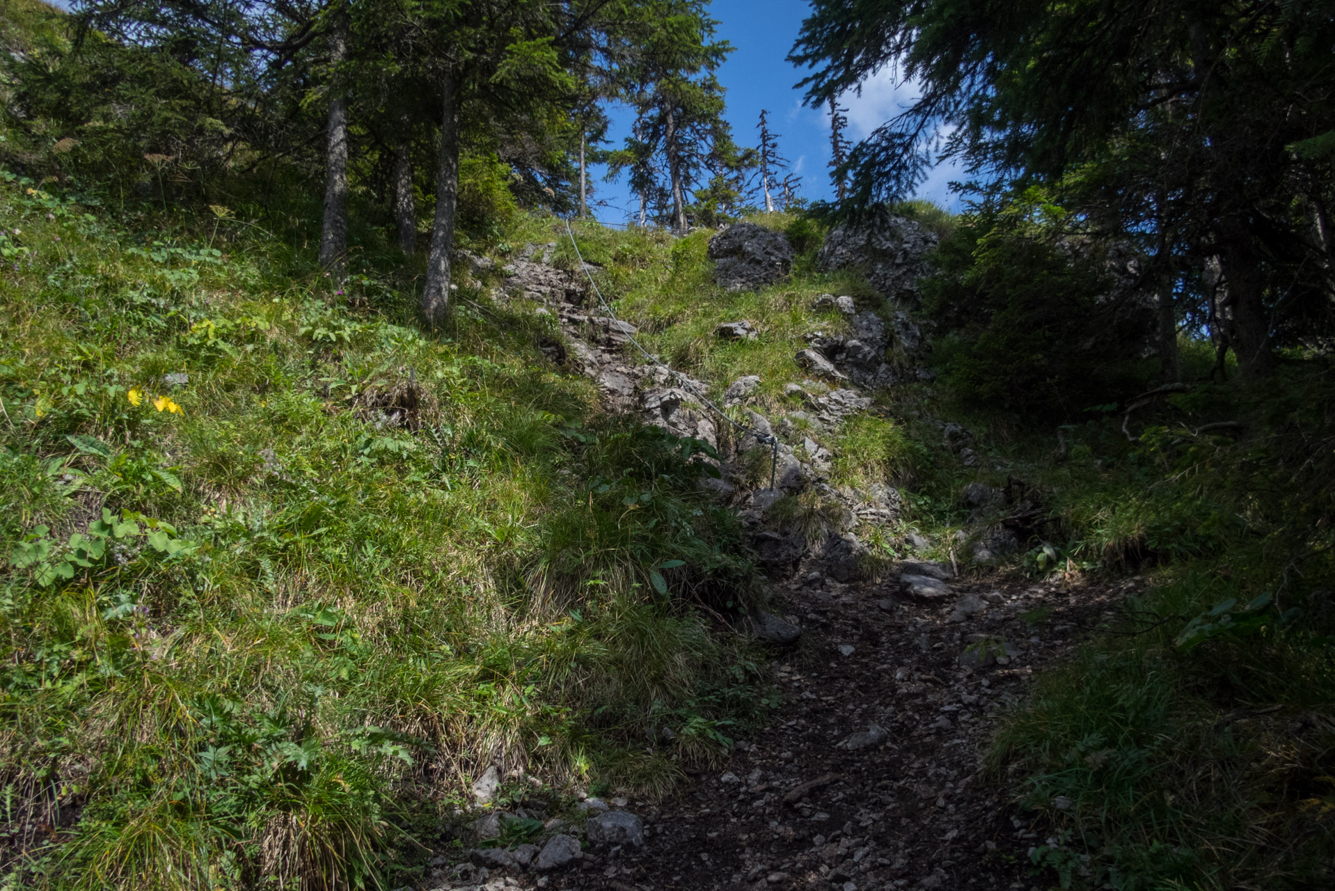 Poľana, Bôr a Siná za jeden deň (Nízke Tatry)