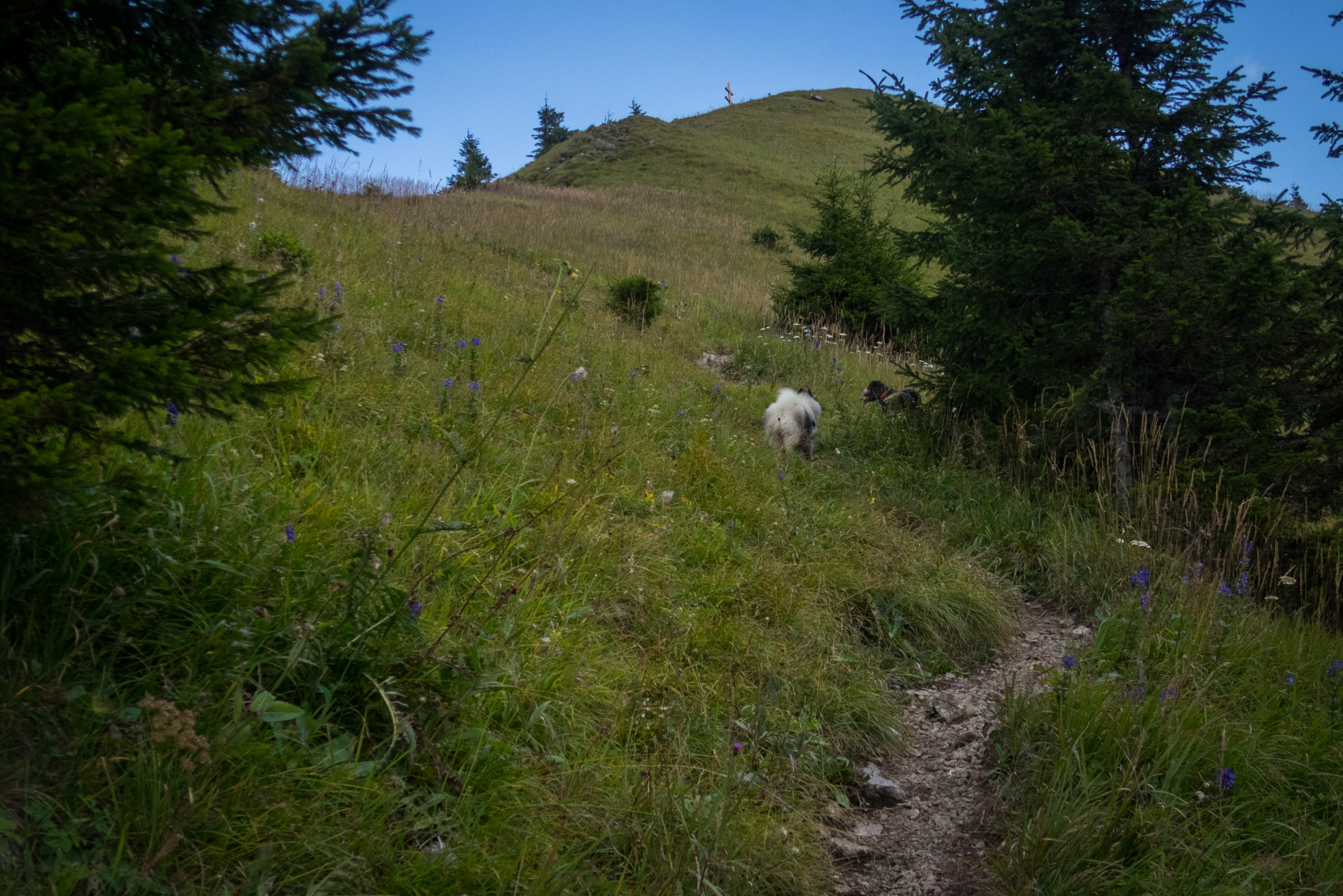 Poľana, Bôr a Siná za jeden deň (Nízke Tatry)