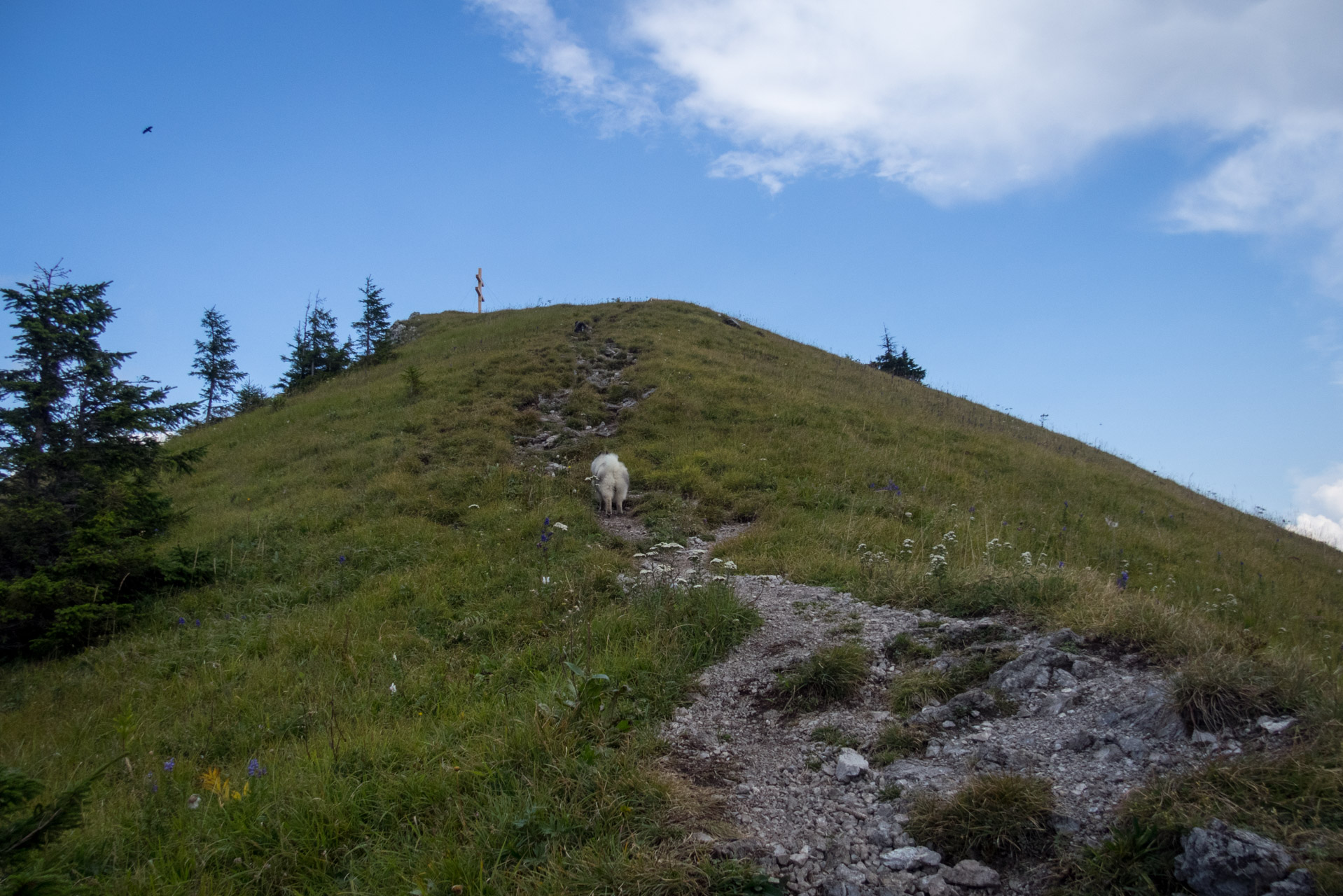 Poľana, Bôr a Siná za jeden deň (Nízke Tatry)