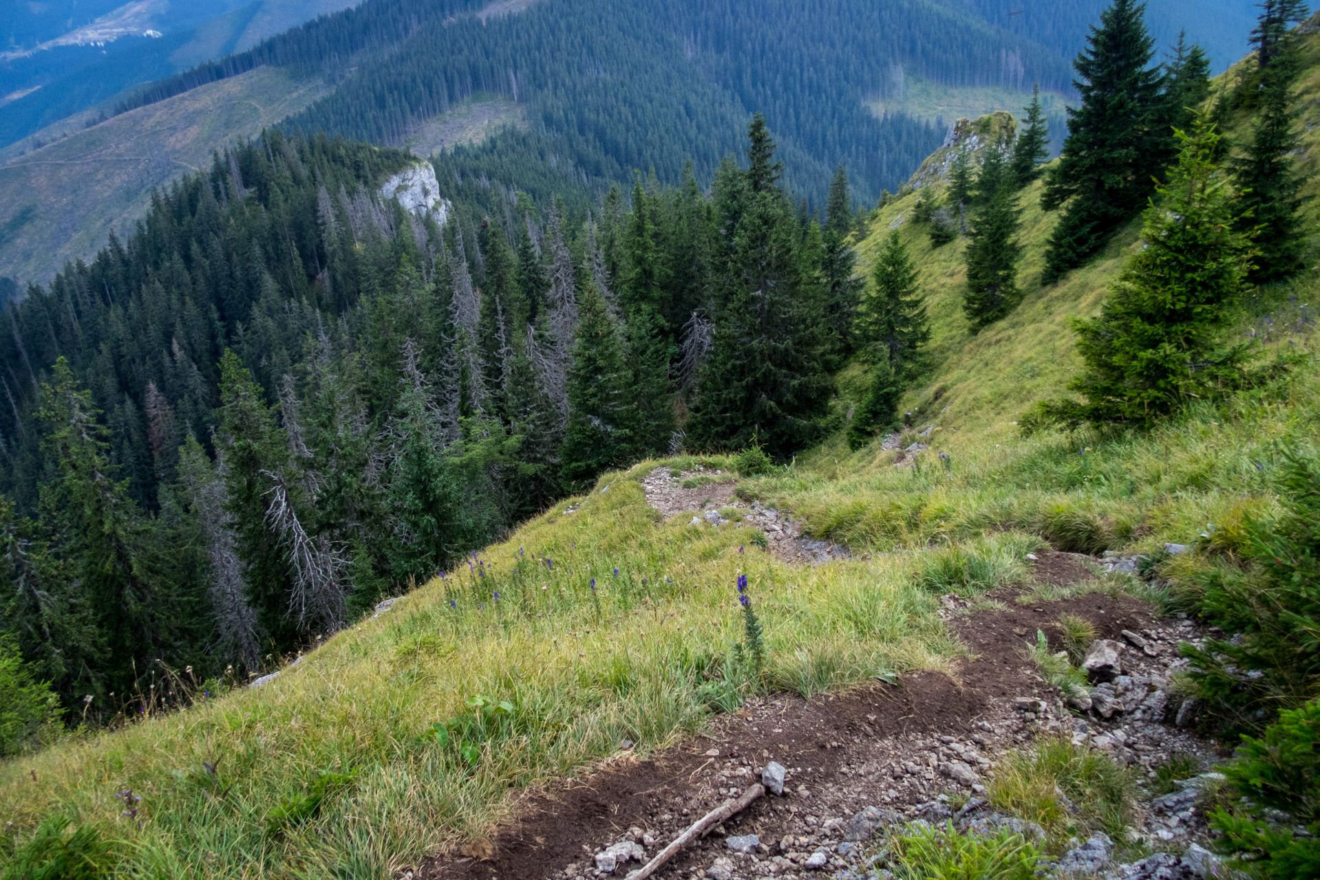 Poľana, Bôr a Siná za jeden deň (Nízke Tatry)