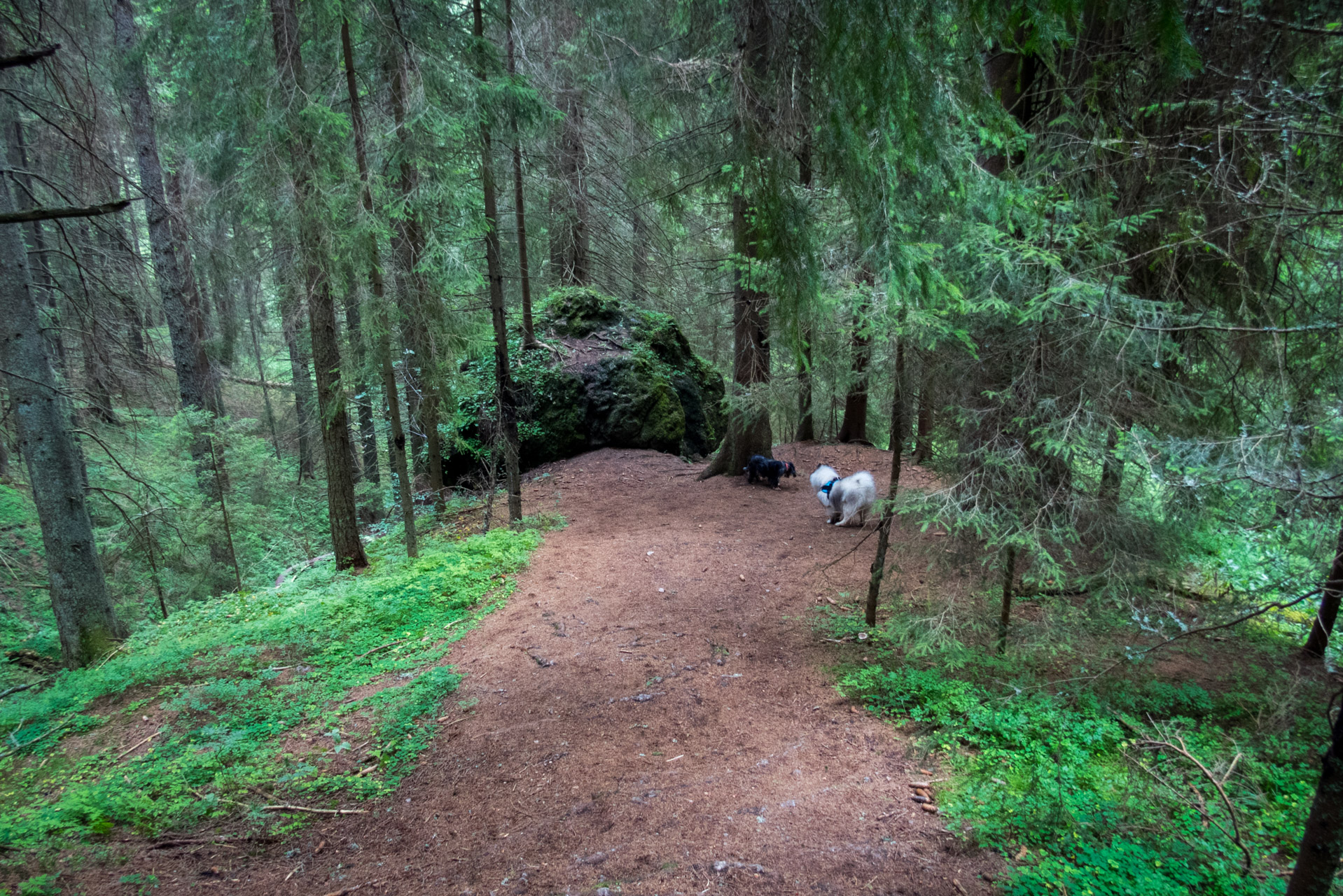 Poľana, Bôr a Siná za jeden deň (Nízke Tatry)