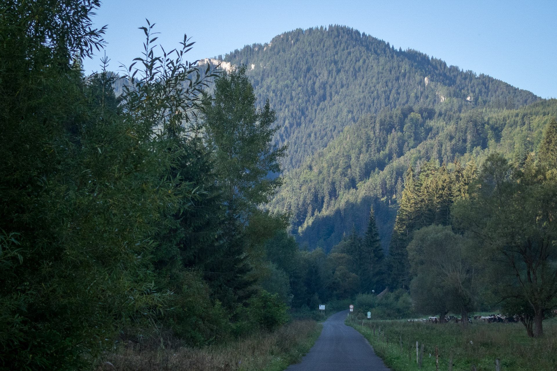 Poludnica z Iľanova cez sedlo pod Kúpeľom (Nízke Tatry)