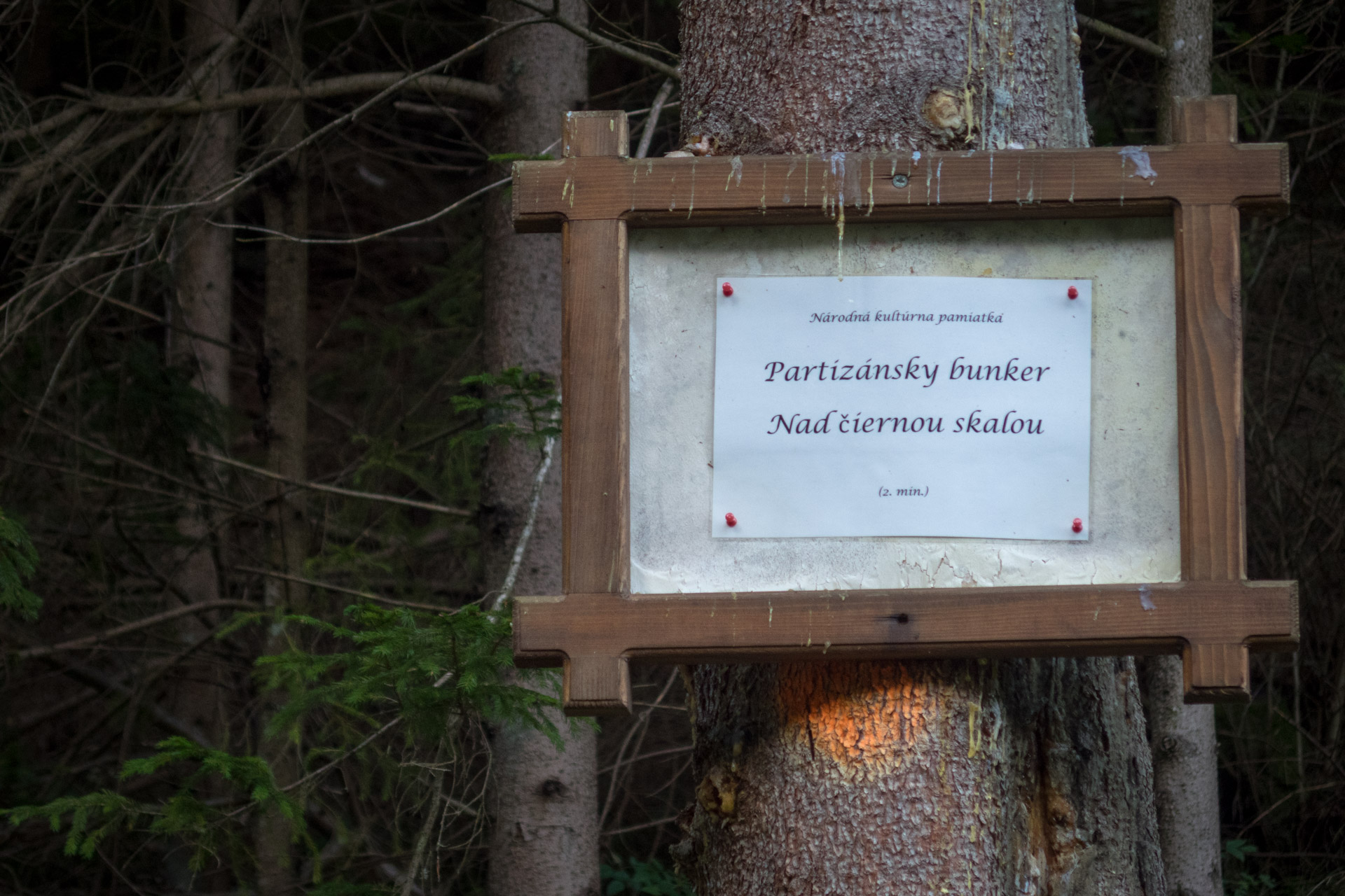 Poludnica z Iľanova cez sedlo pod Kúpeľom (Nízke Tatry)