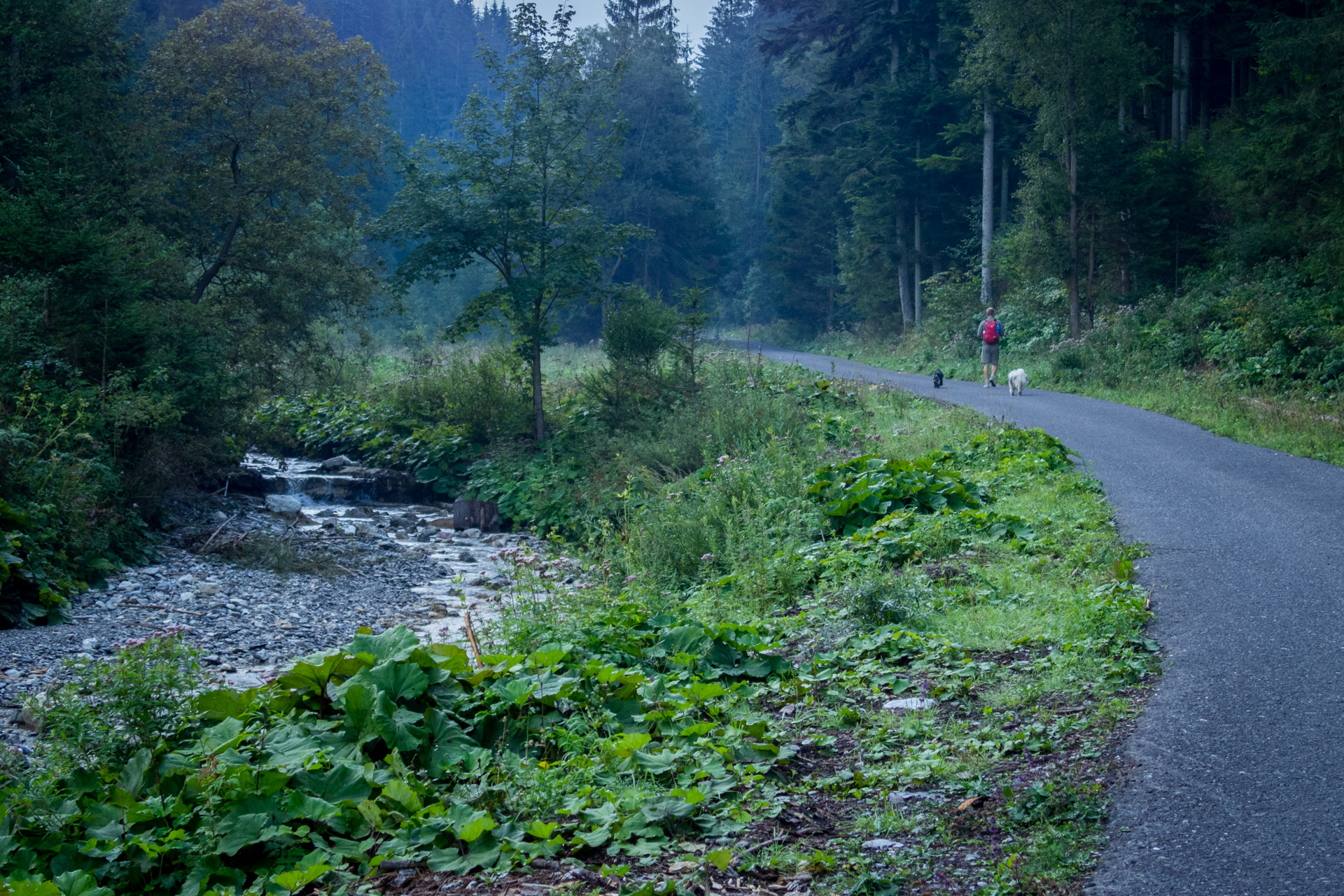 Poludnica z Iľanova cez sedlo pod Kúpeľom (Nízke Tatry)