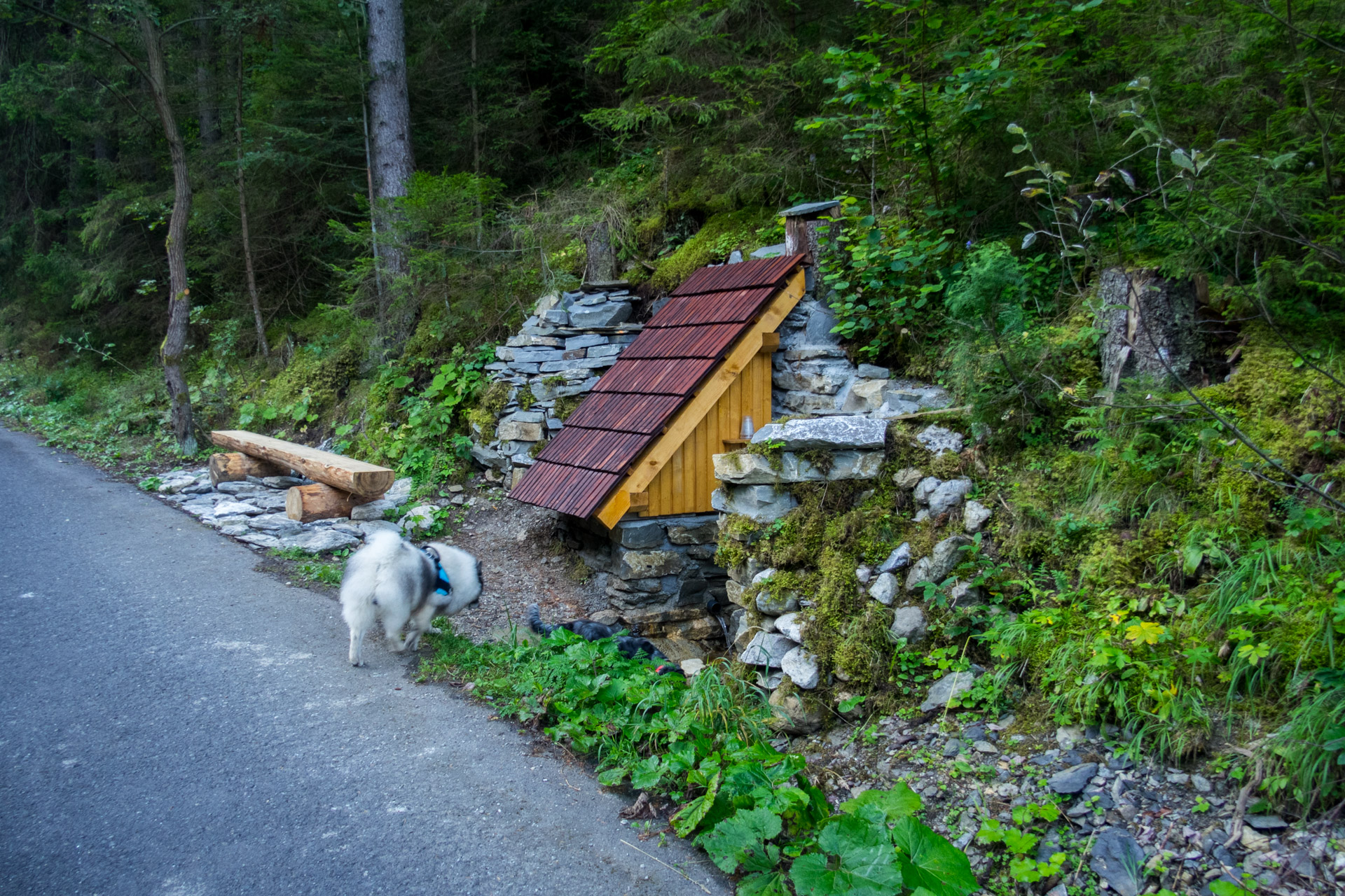 Poludnica z Iľanova cez sedlo pod Kúpeľom (Nízke Tatry)