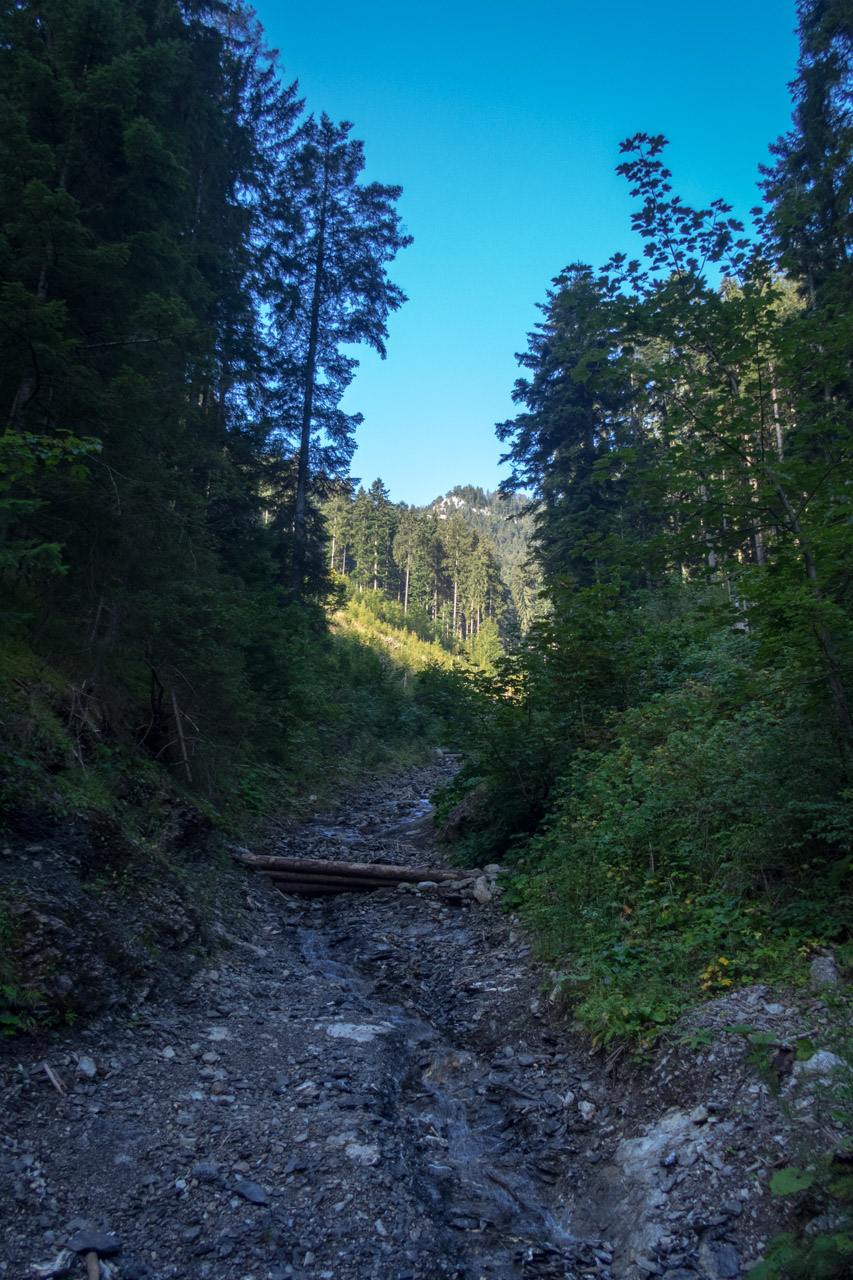 Poludnica z Iľanova cez sedlo pod Kúpeľom (Nízke Tatry)