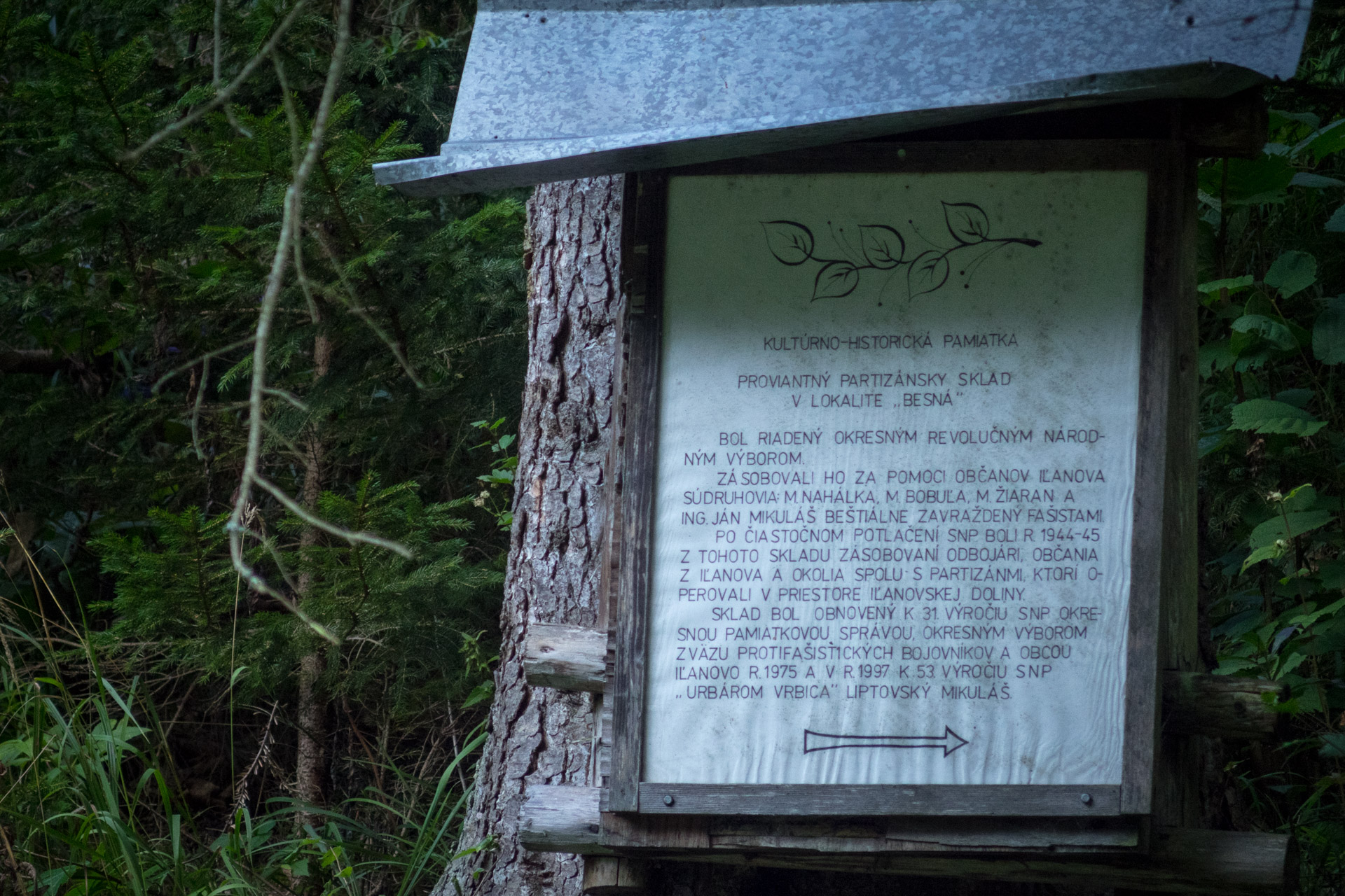 Poludnica z Iľanova cez sedlo pod Kúpeľom (Nízke Tatry)