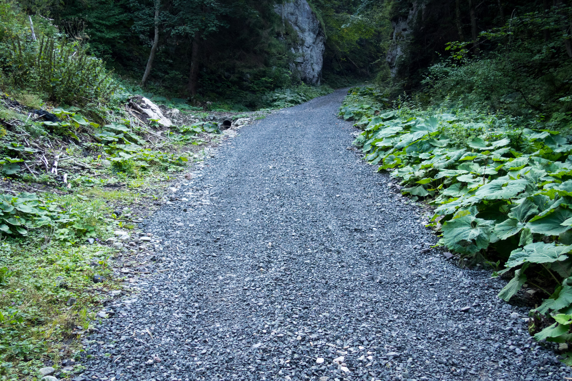 Poludnica z Iľanova cez sedlo pod Kúpeľom (Nízke Tatry)