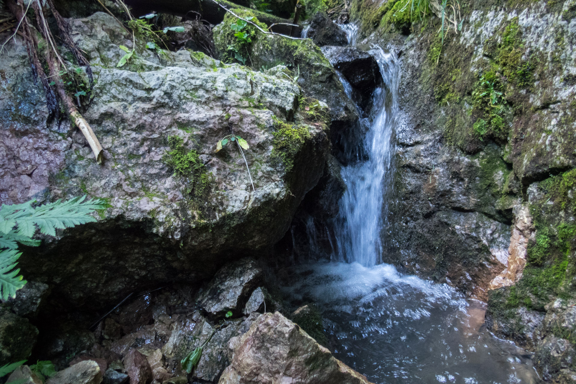 Poludnica z Iľanova cez sedlo pod Kúpeľom (Nízke Tatry)