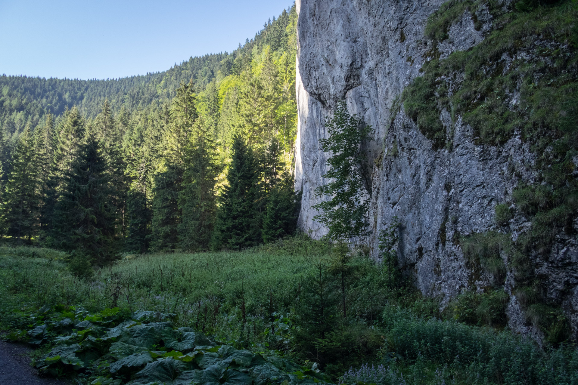 Poludnica z Iľanova cez sedlo pod Kúpeľom (Nízke Tatry)