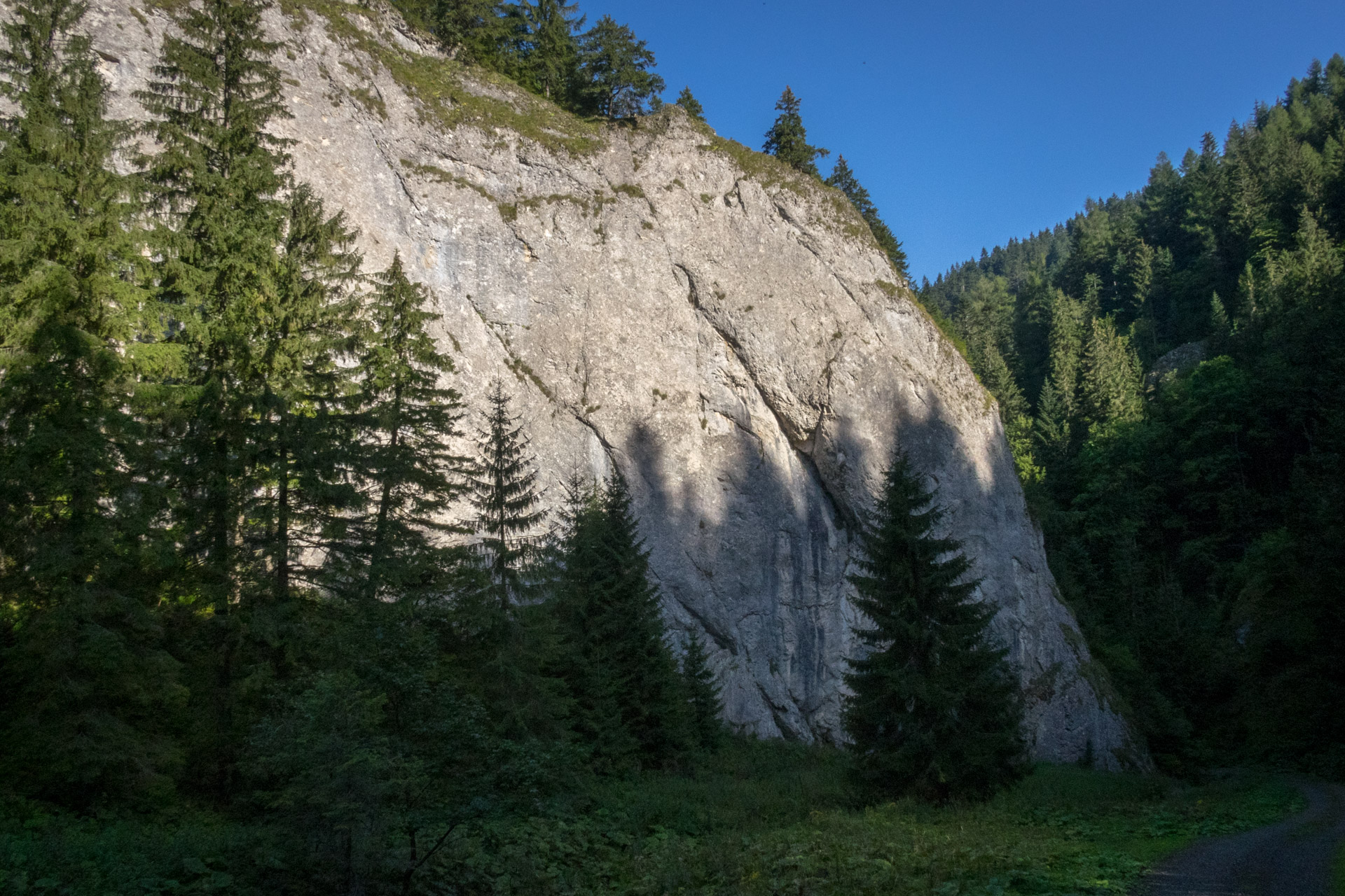 Poludnica z Iľanova cez sedlo pod Kúpeľom (Nízke Tatry)