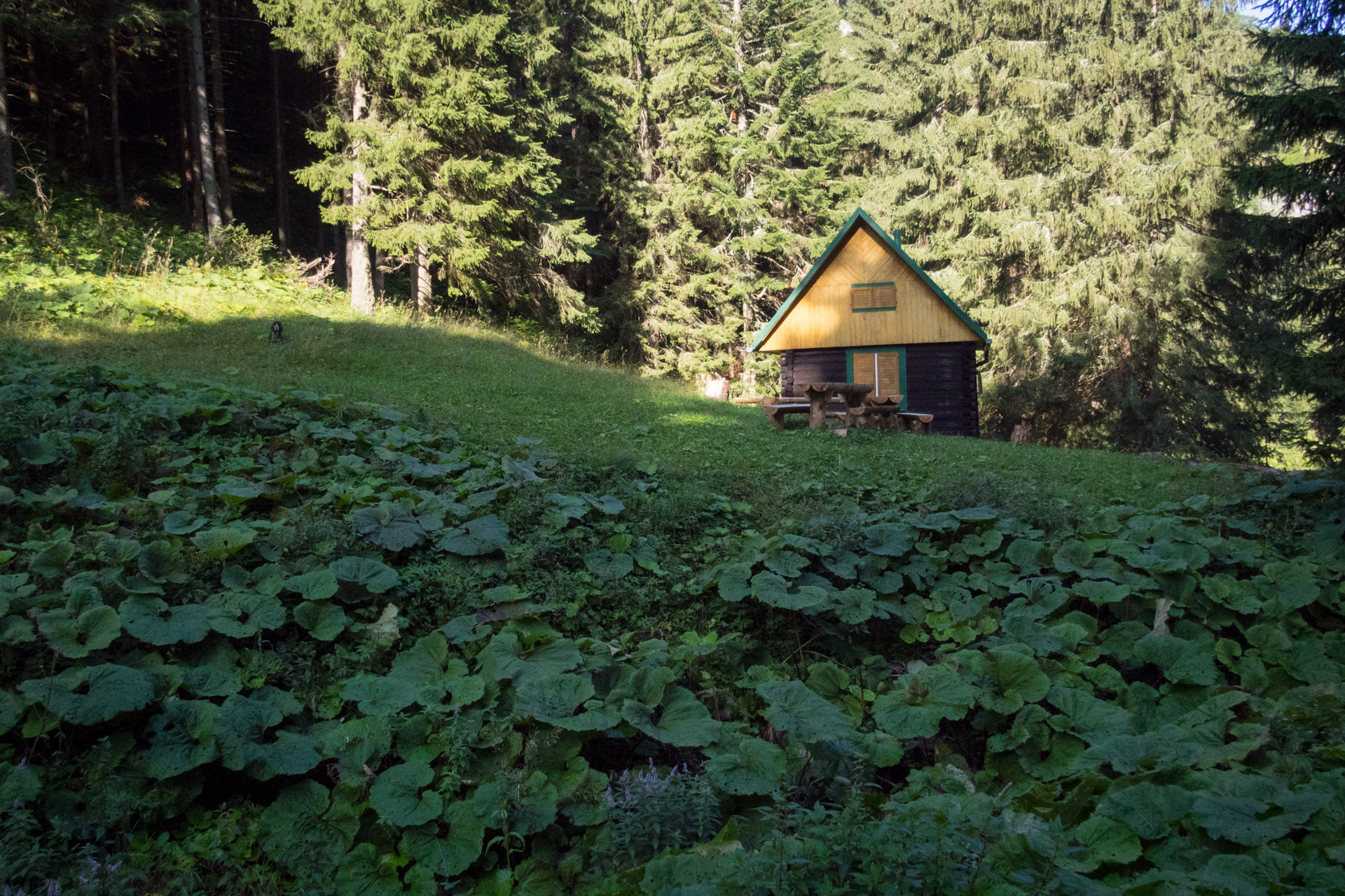 Poludnica z Iľanova cez sedlo pod Kúpeľom (Nízke Tatry)