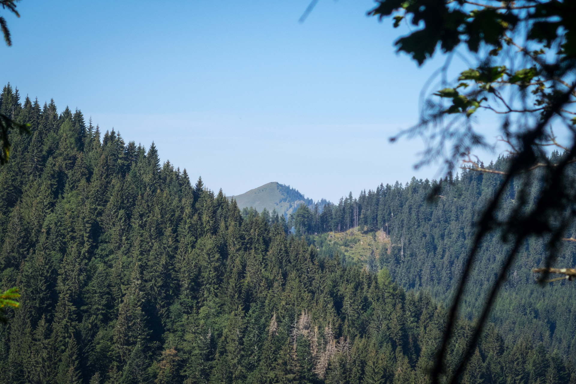 Poludnica z Iľanova cez sedlo pod Kúpeľom (Nízke Tatry)