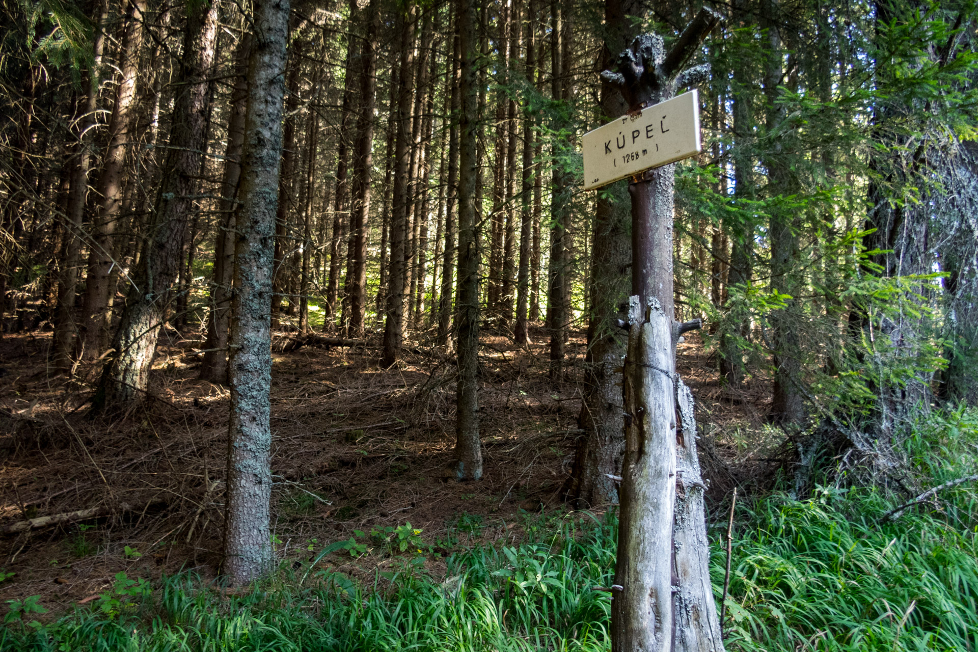 Poludnica z Iľanova cez sedlo pod Kúpeľom (Nízke Tatry)