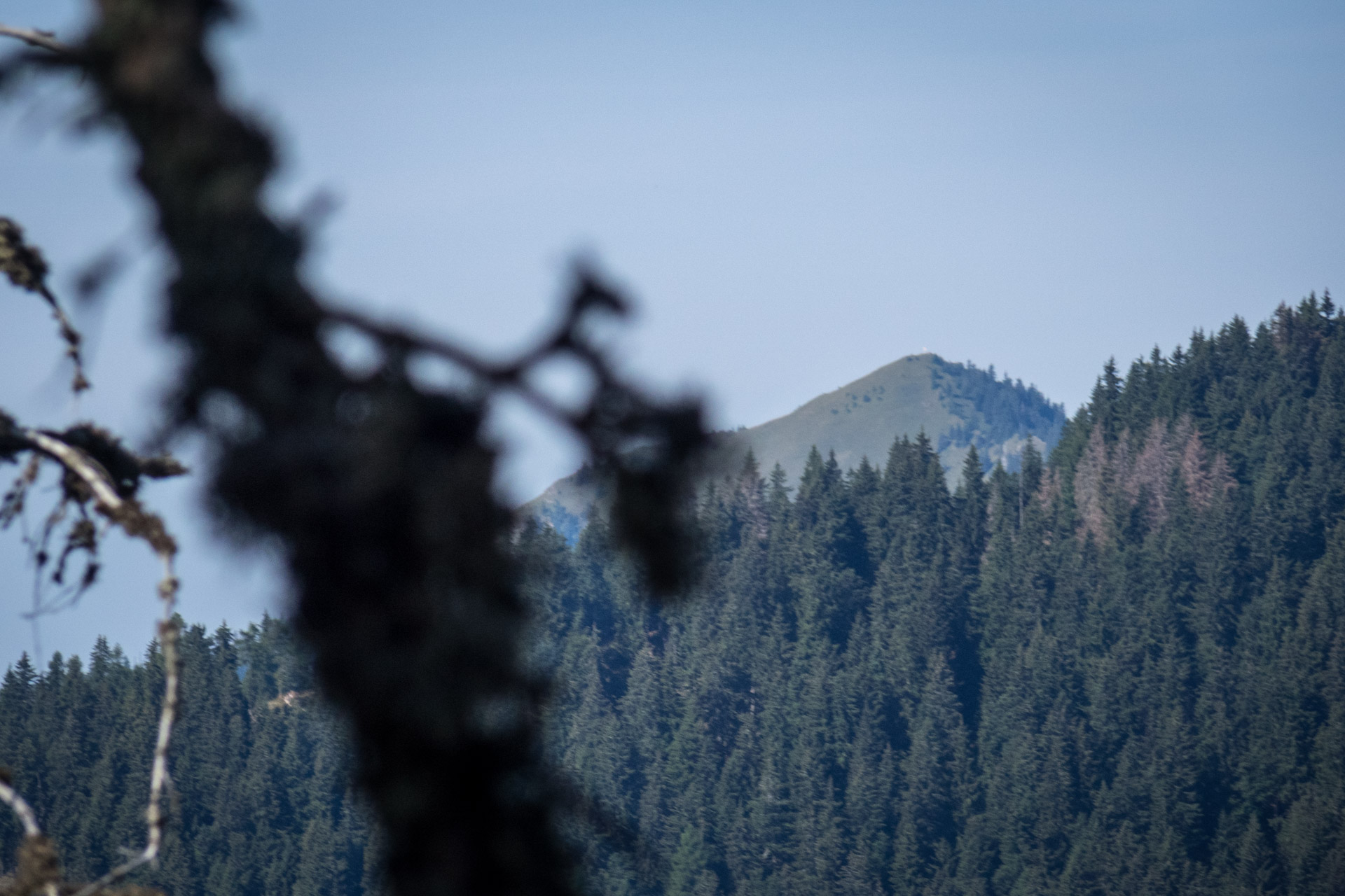 Poludnica z Iľanova cez sedlo pod Kúpeľom (Nízke Tatry)