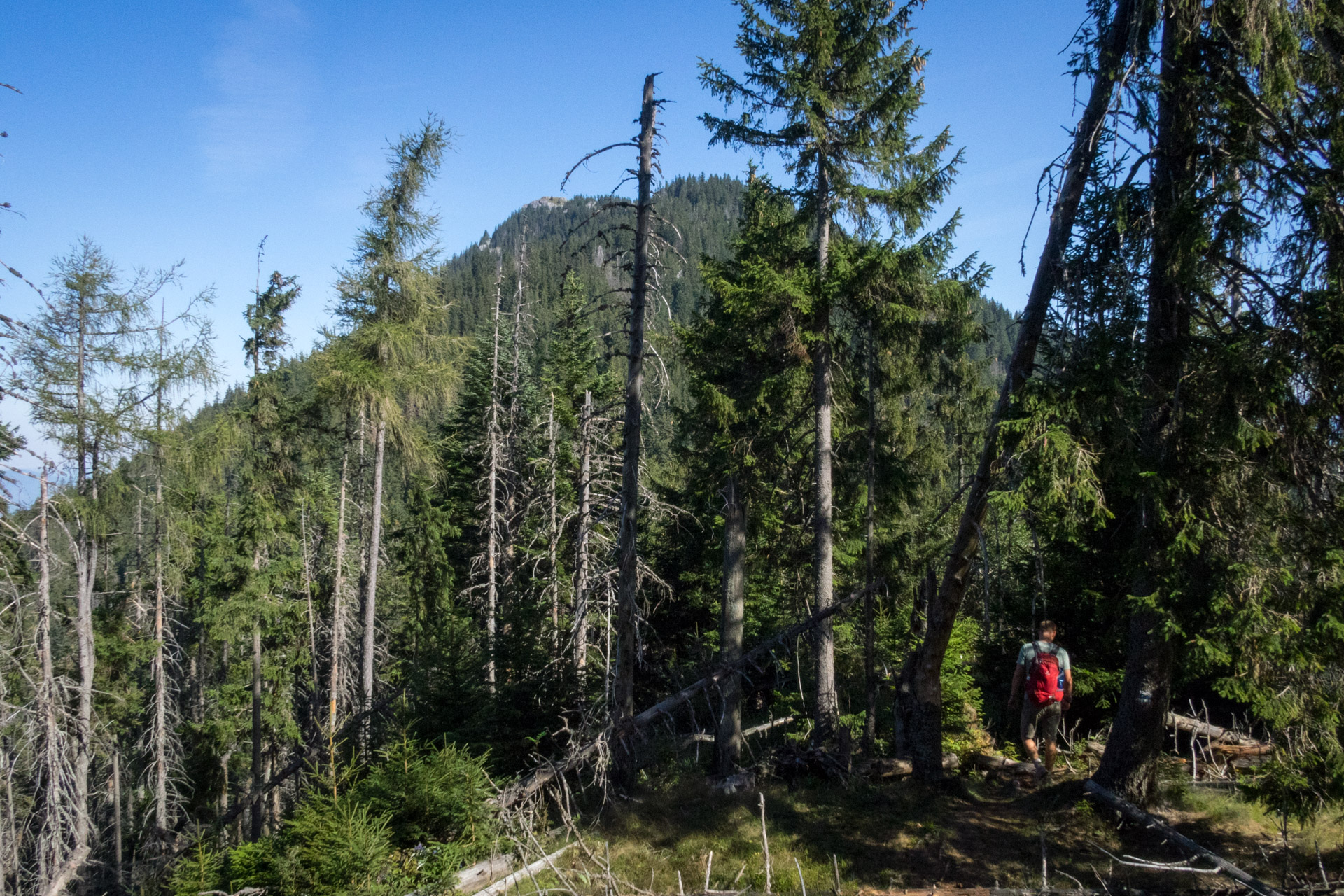 Poludnica z Iľanova cez sedlo pod Kúpeľom (Nízke Tatry)