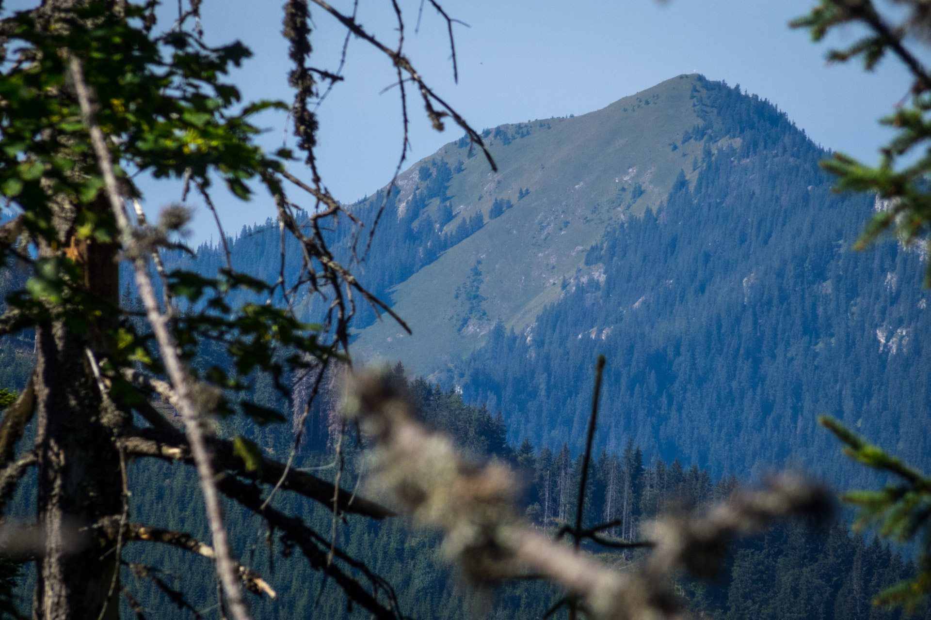 Poludnica z Iľanova cez sedlo pod Kúpeľom (Nízke Tatry)