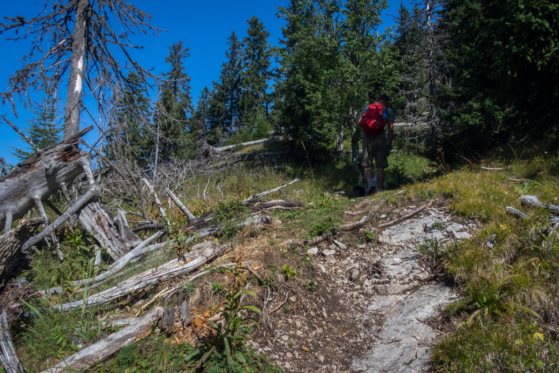 Poludnica z Iľanova cez sedlo pod Kúpeľom (Nízke Tatry)