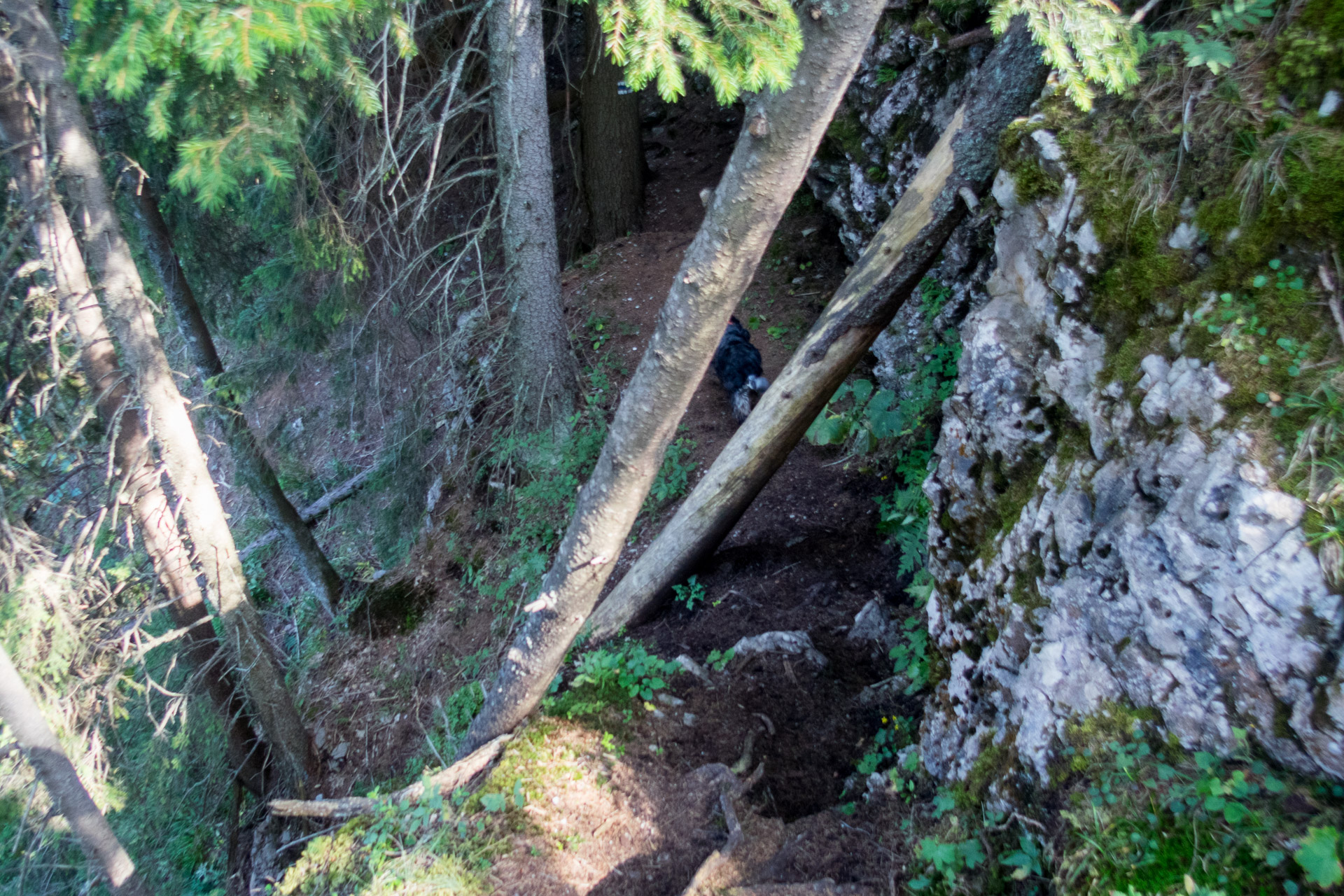 Poludnica z Iľanova cez sedlo pod Kúpeľom (Nízke Tatry)