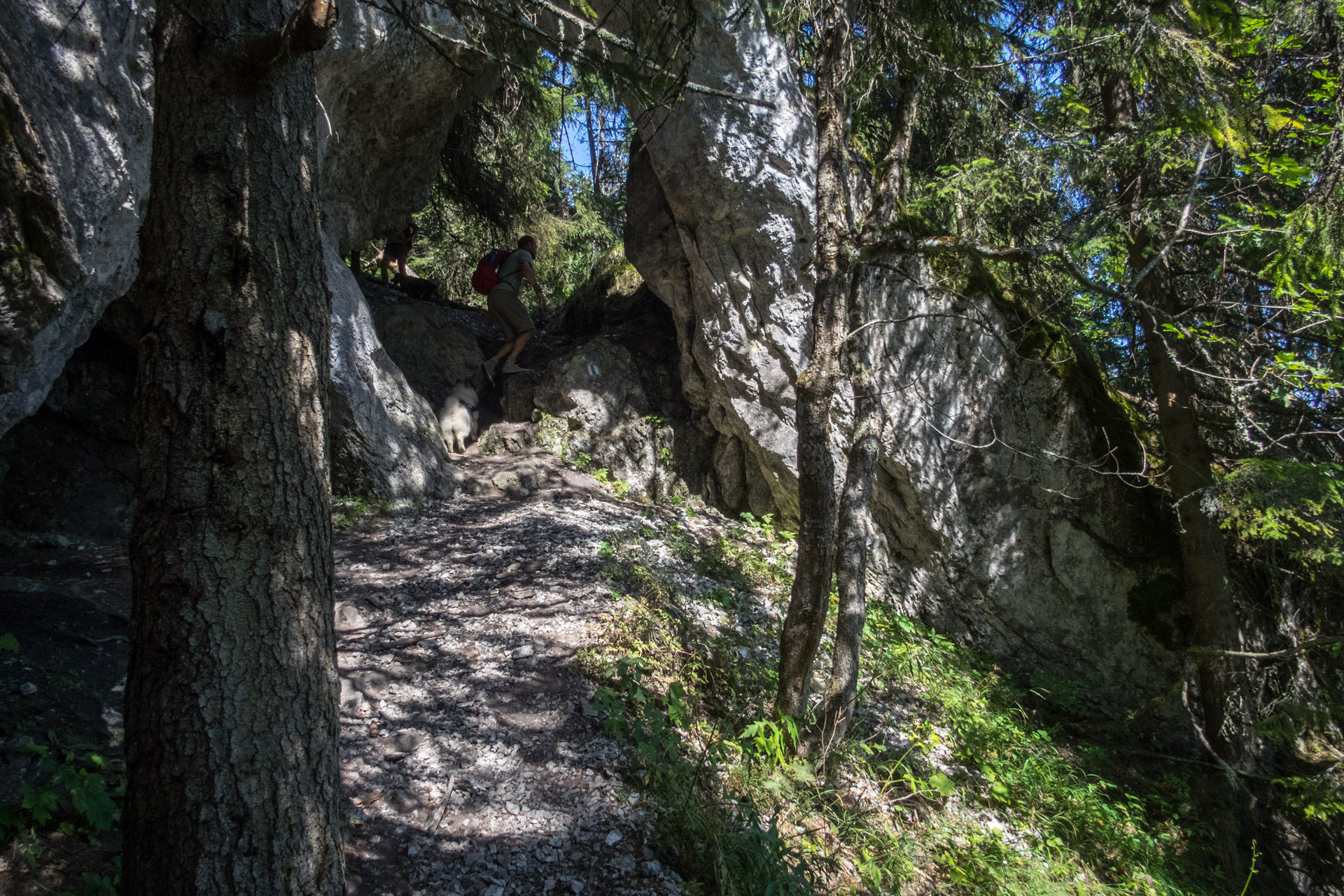 Poludnica z Iľanova cez sedlo pod Kúpeľom (Nízke Tatry)