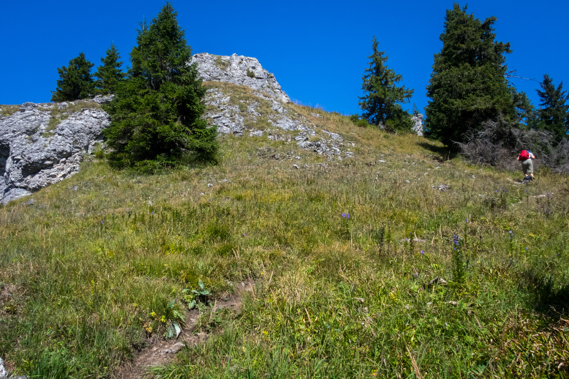 Poludnica z Iľanova cez sedlo pod Kúpeľom (Nízke Tatry)