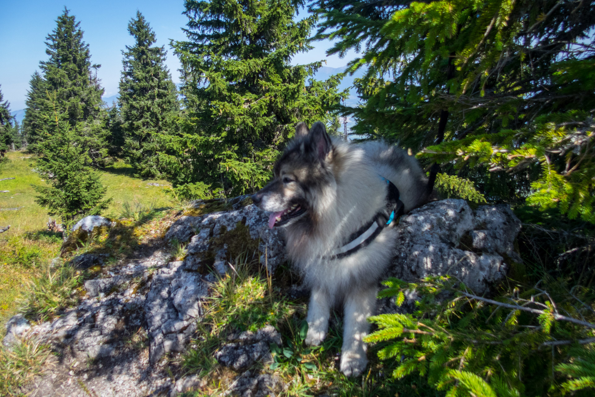 Poludnica z Iľanova cez sedlo pod Kúpeľom (Nízke Tatry)