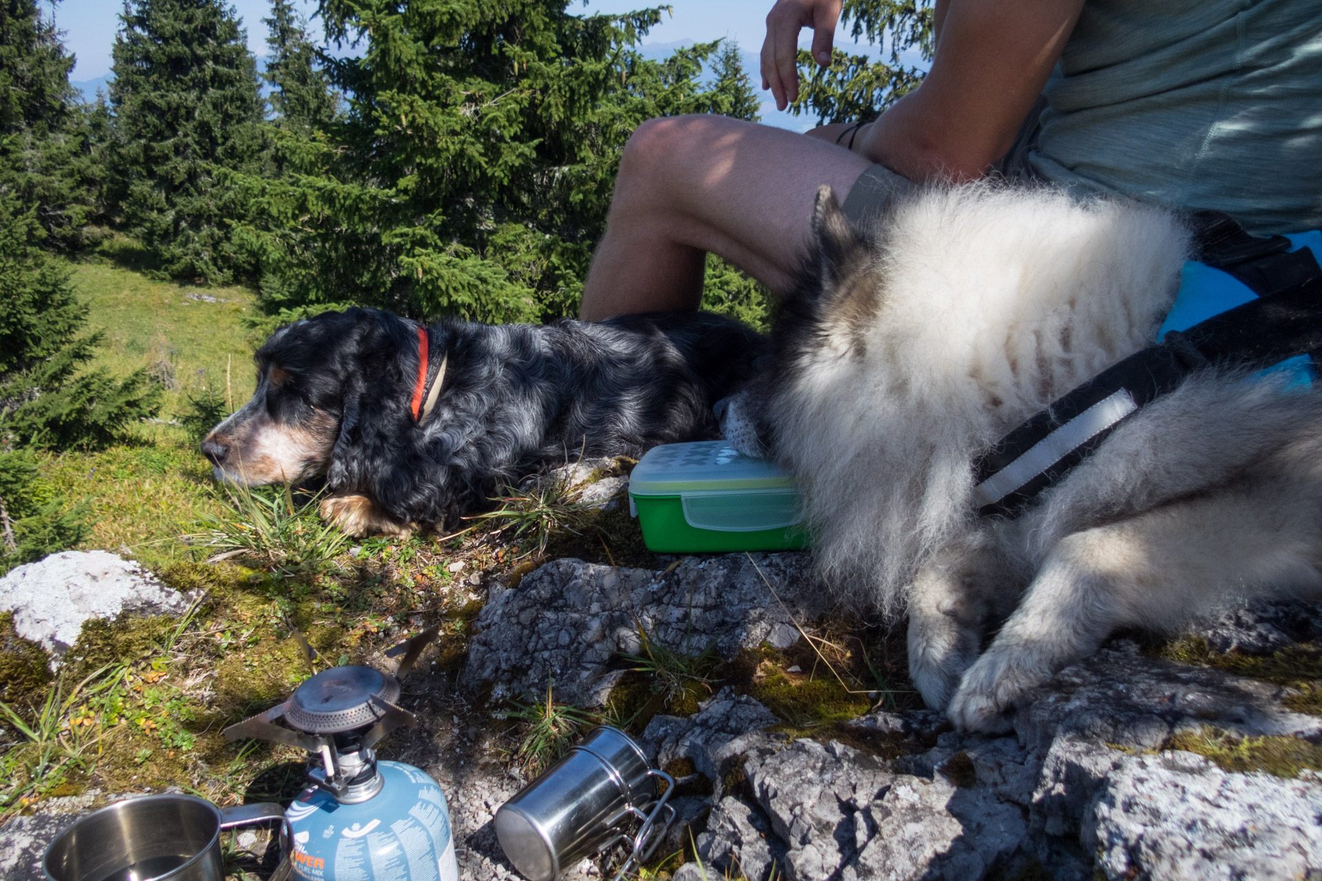 Poludnica z Iľanova cez sedlo pod Kúpeľom (Nízke Tatry)