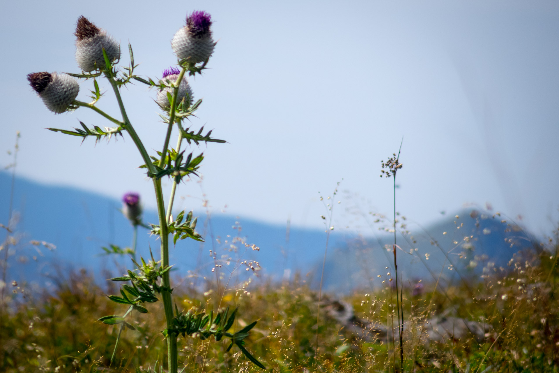 Poludnica z Iľanova cez sedlo pod Kúpeľom (Nízke Tatry)