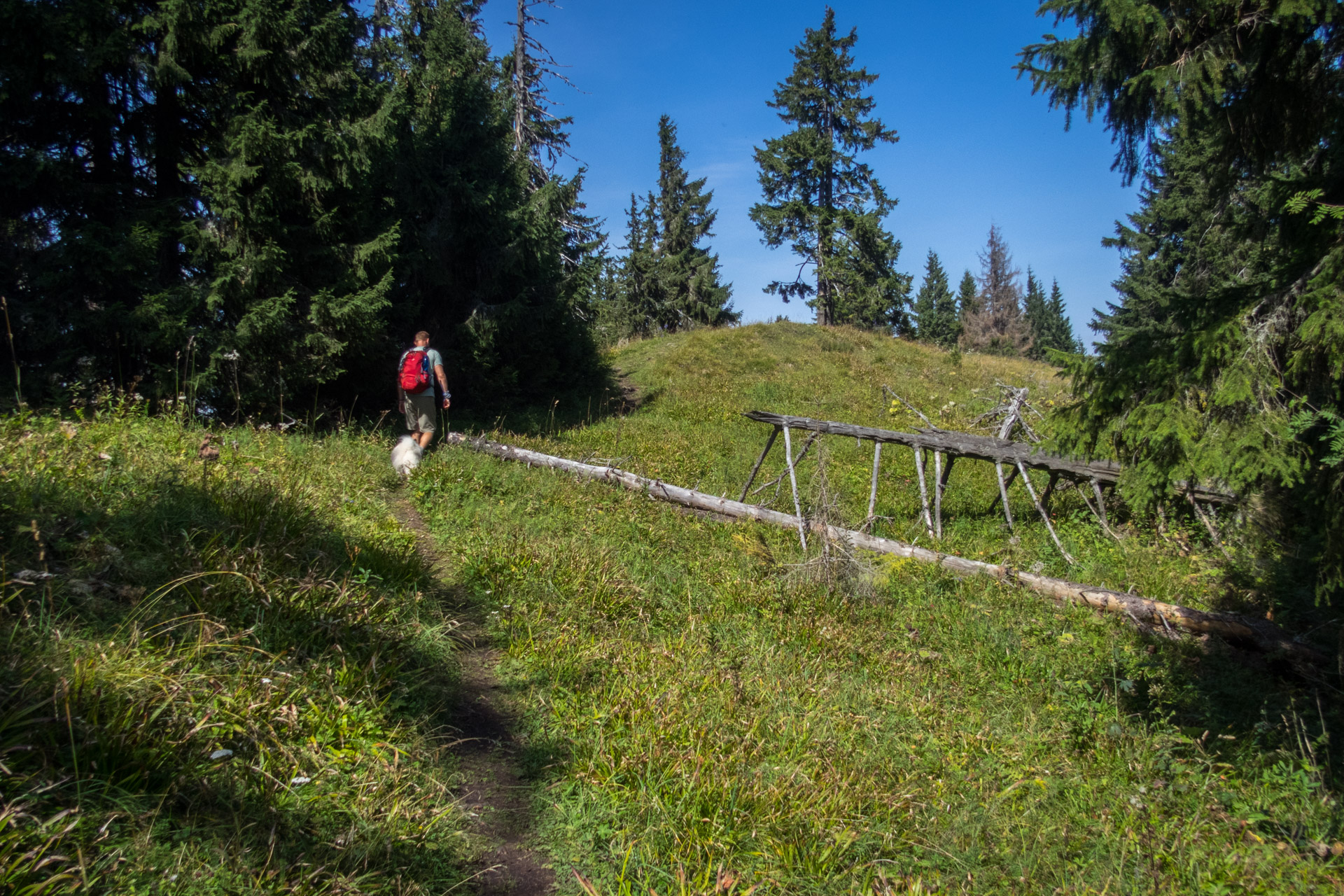 Poludnica z Iľanova cez sedlo pod Kúpeľom (Nízke Tatry)