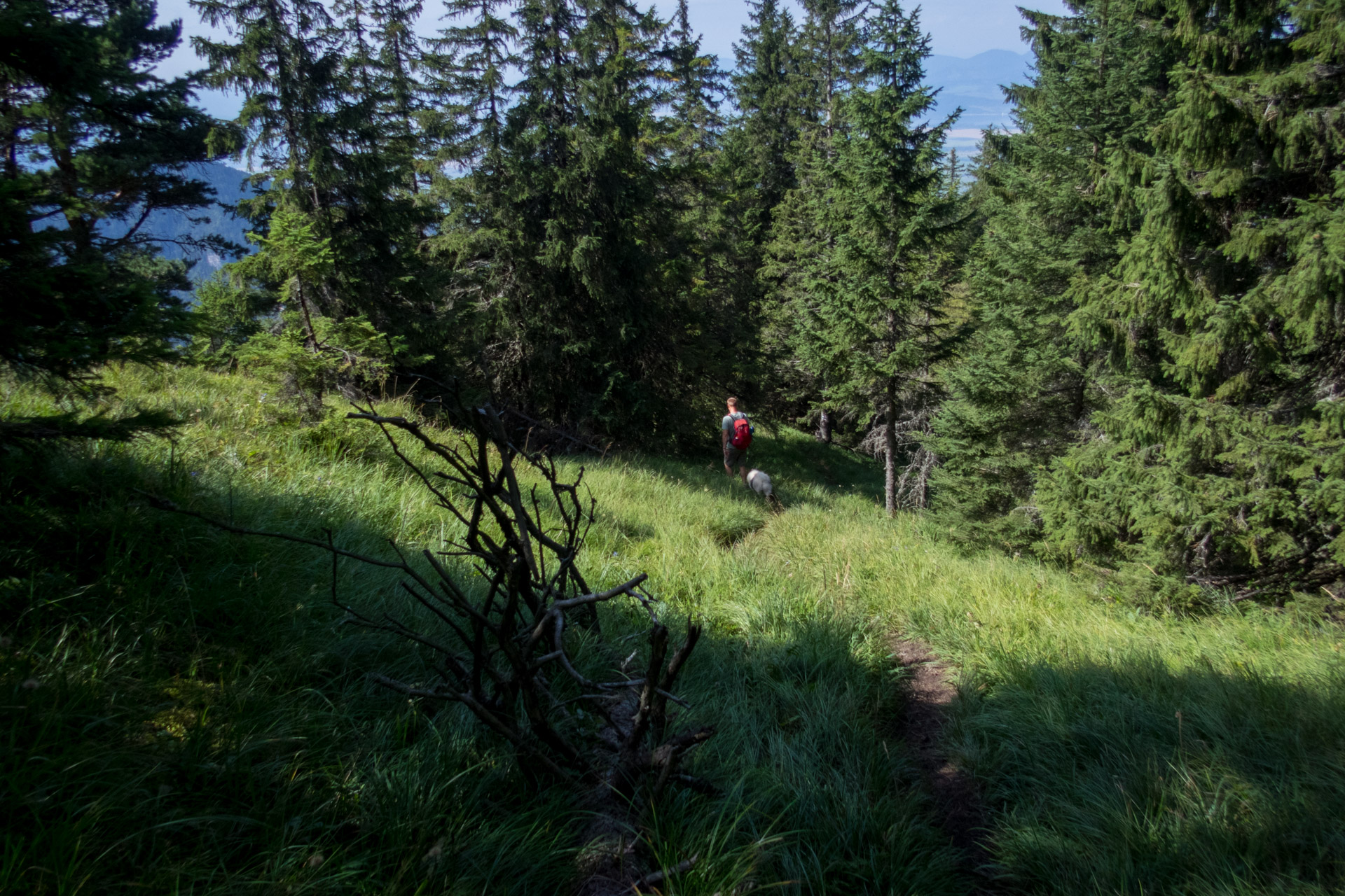 Poludnica z Iľanova cez sedlo pod Kúpeľom (Nízke Tatry)