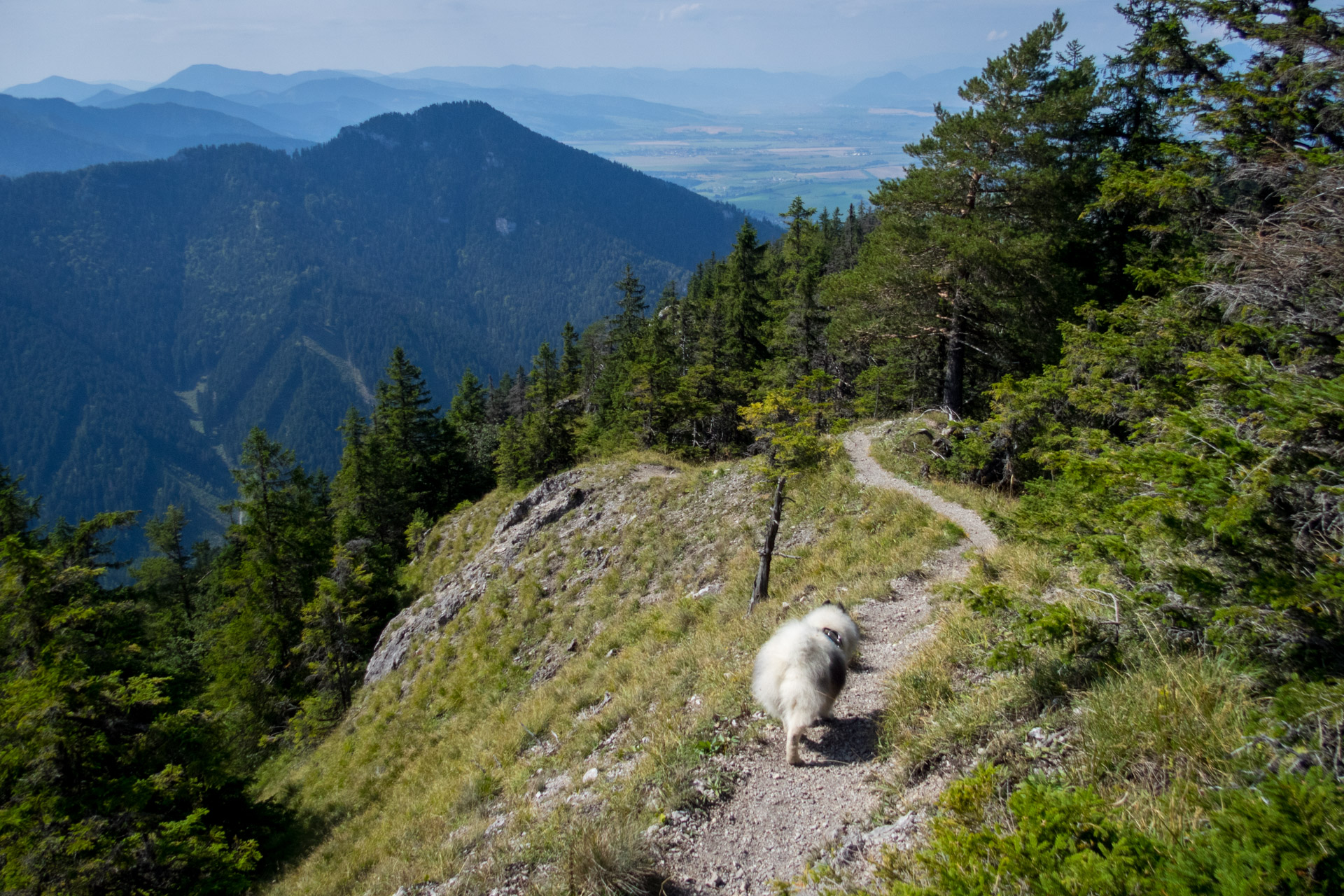 Poludnica z Iľanova cez sedlo pod Kúpeľom (Nízke Tatry)