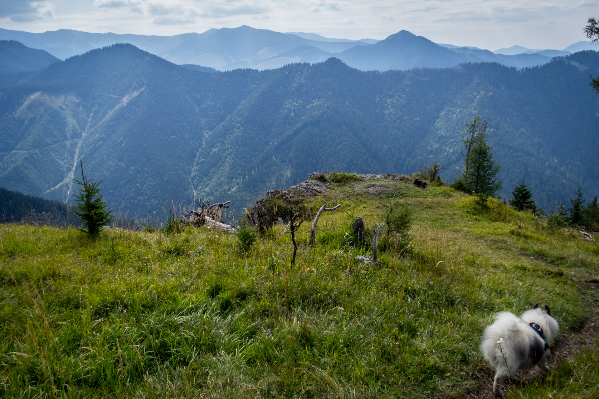 Poludnica z Iľanova cez sedlo pod Kúpeľom (Nízke Tatry)