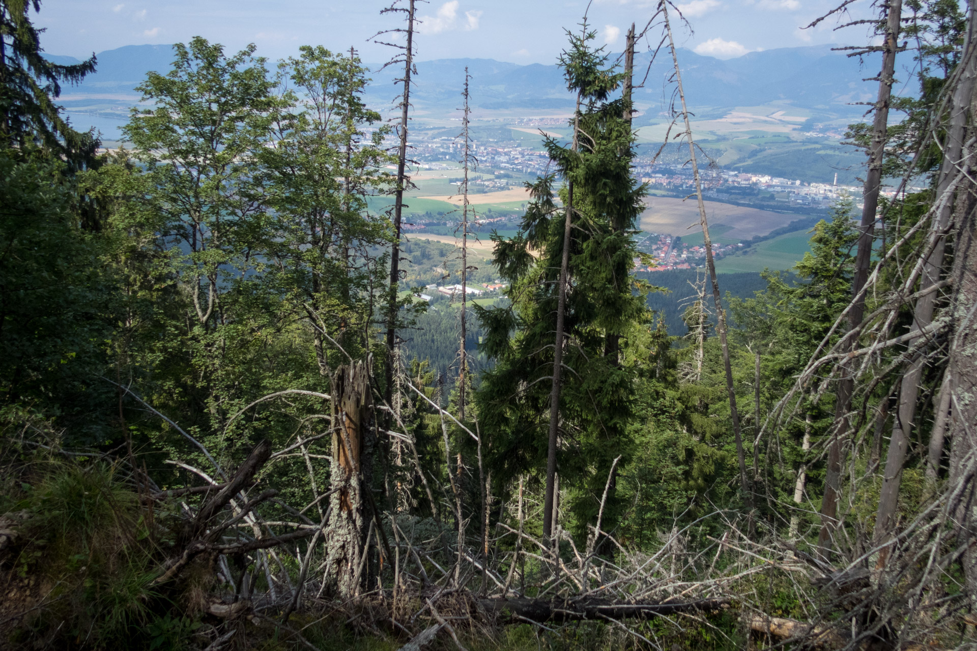 Poludnica z Iľanova cez sedlo pod Kúpeľom (Nízke Tatry)