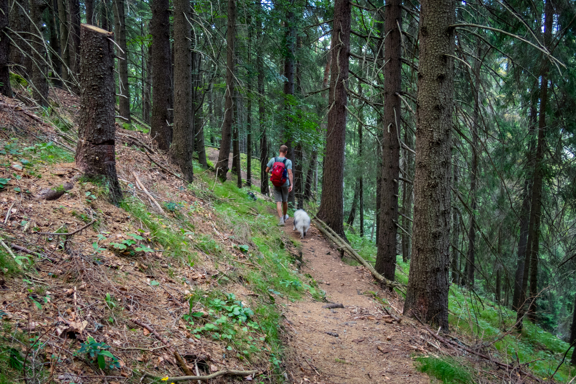 Poludnica z Iľanova cez sedlo pod Kúpeľom (Nízke Tatry)