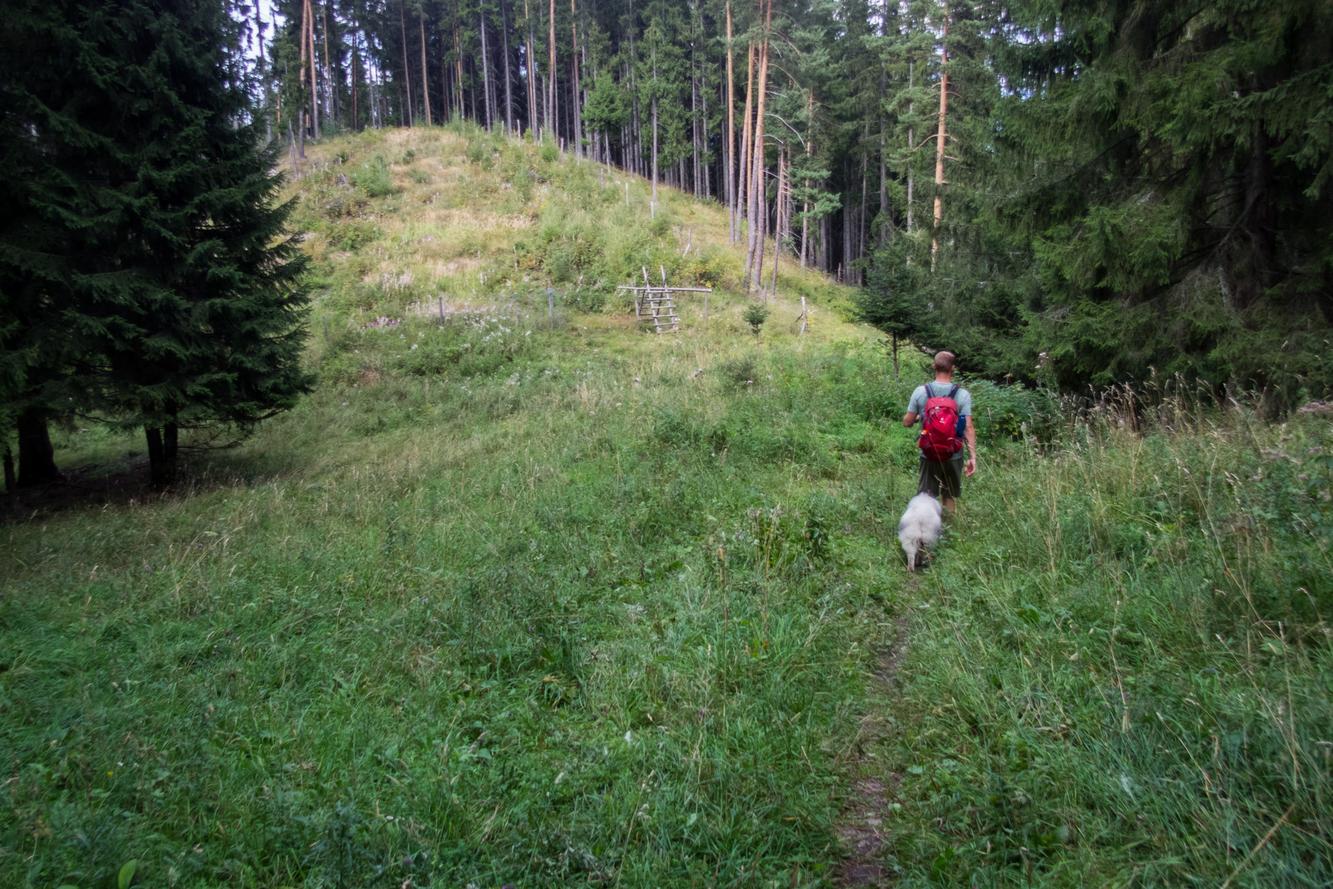 Poludnica z Iľanova cez sedlo pod Kúpeľom (Nízke Tatry)