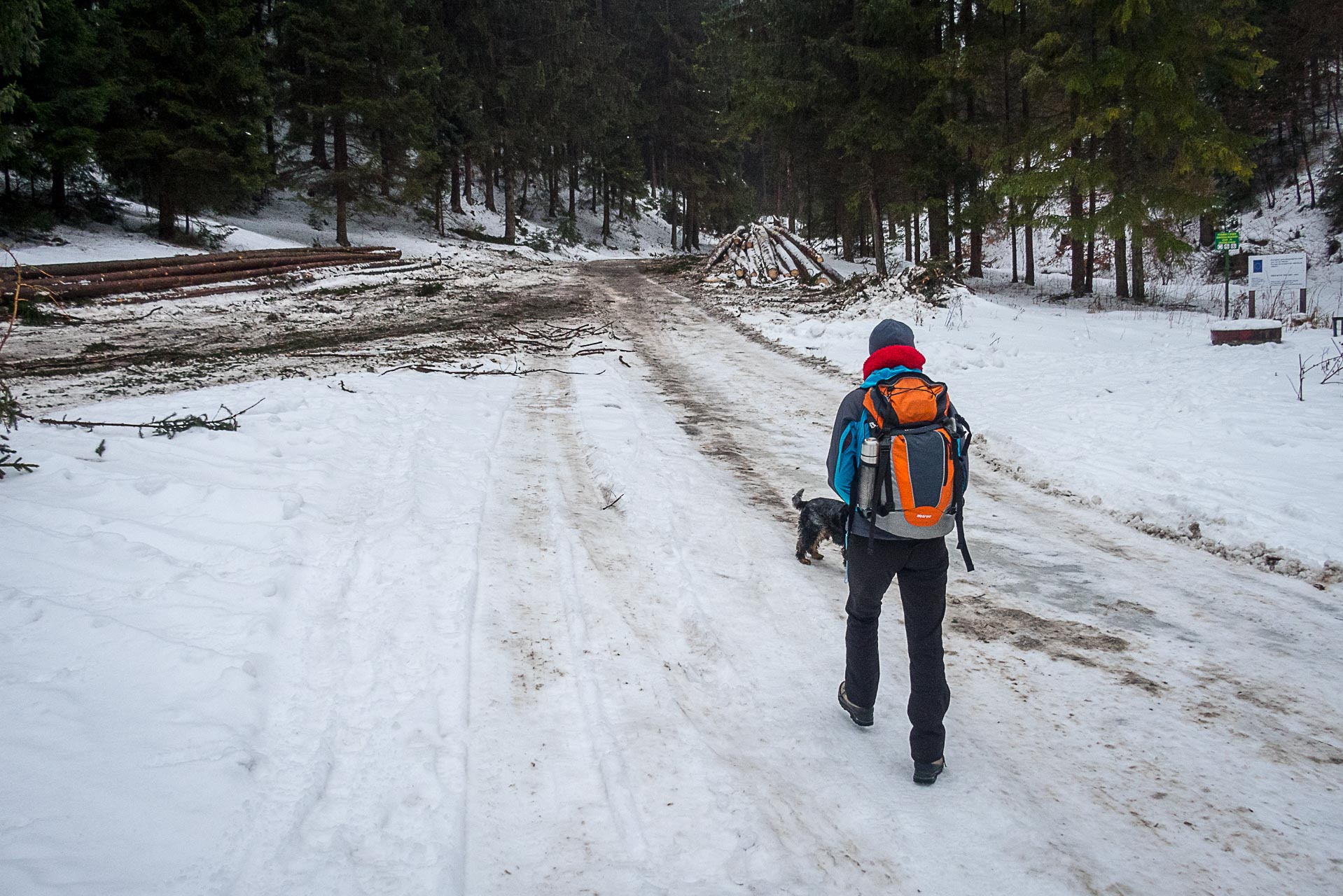 Poludnica zo Závažnej Poruby v zime (Nízke Tatry)