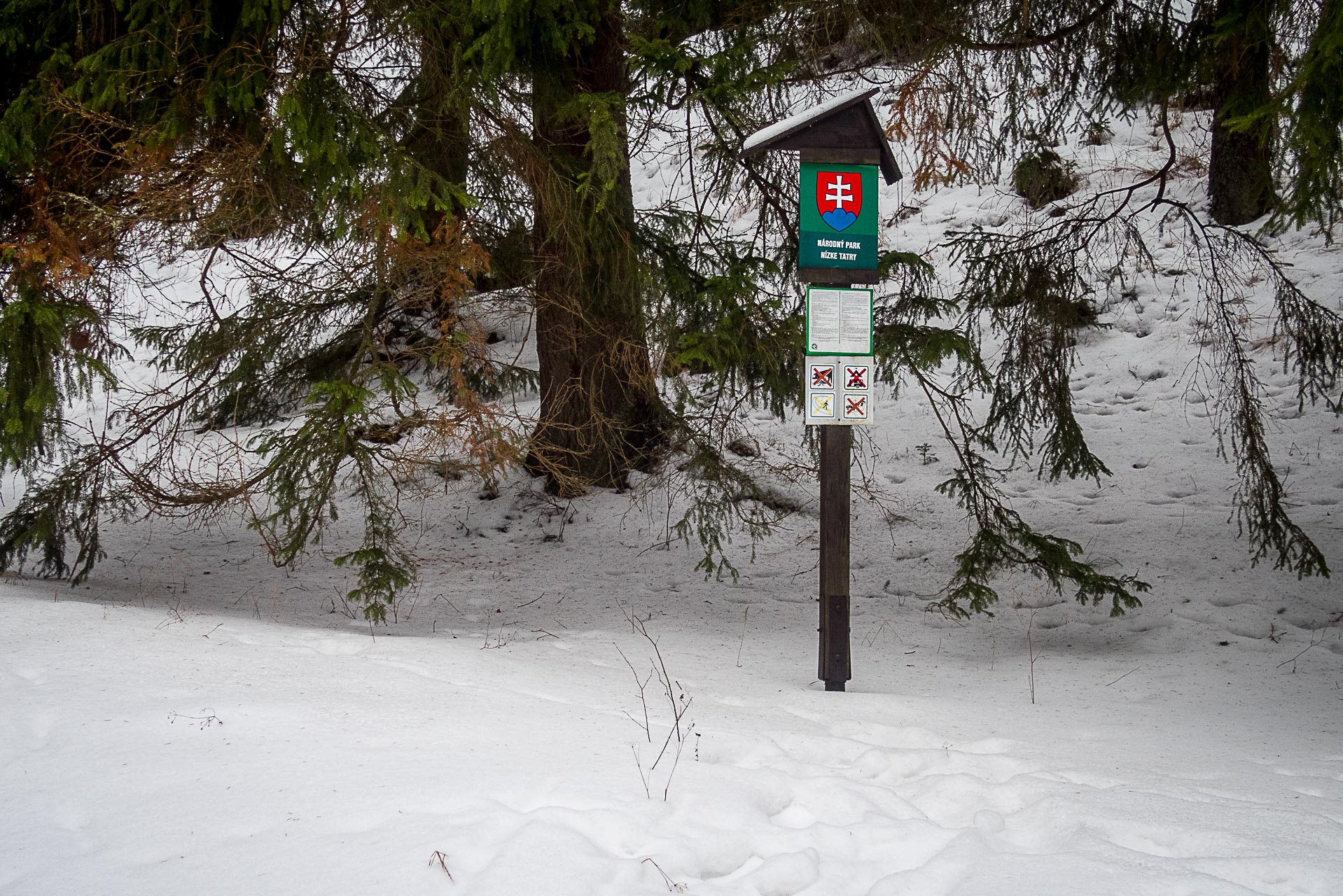 Poludnica zo Závažnej Poruby v zime (Nízke Tatry)