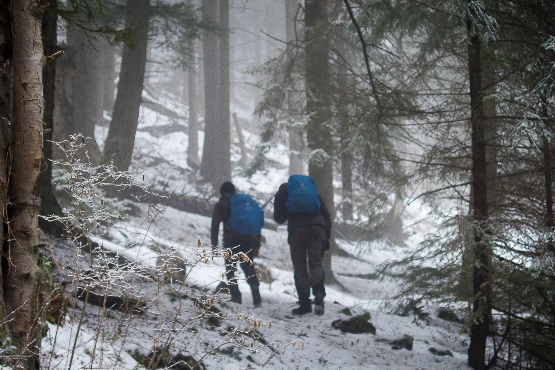 Poludnica zo Závažnej Poruby v zime (Nízke Tatry)