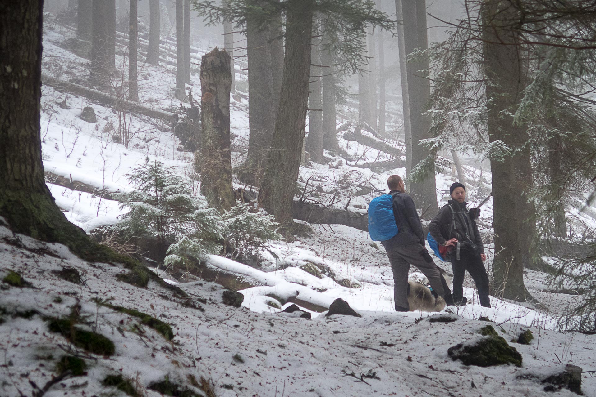 Poludnica zo Závažnej Poruby v zime (Nízke Tatry)