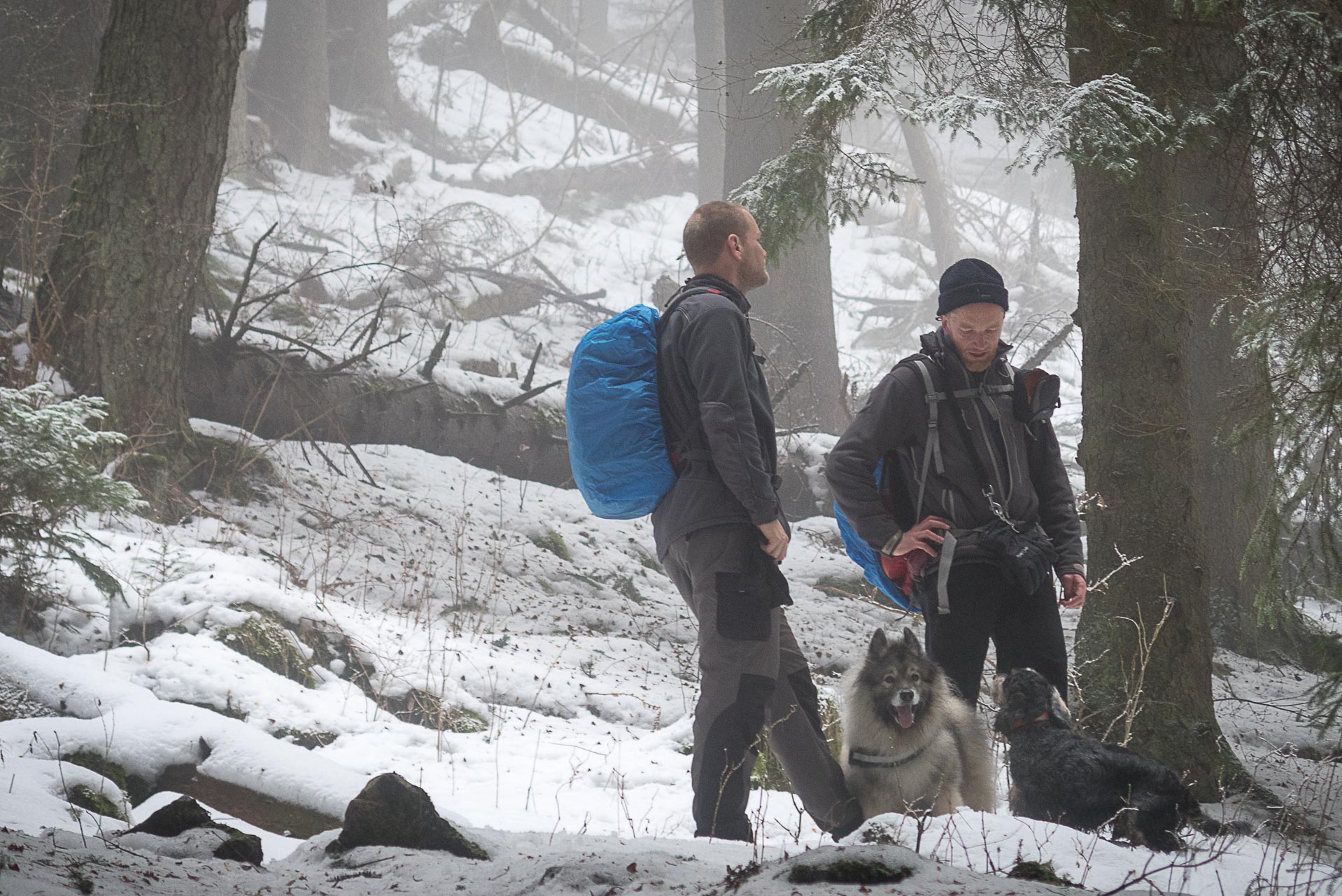 Poludnica zo Závažnej Poruby v zime (Nízke Tatry)