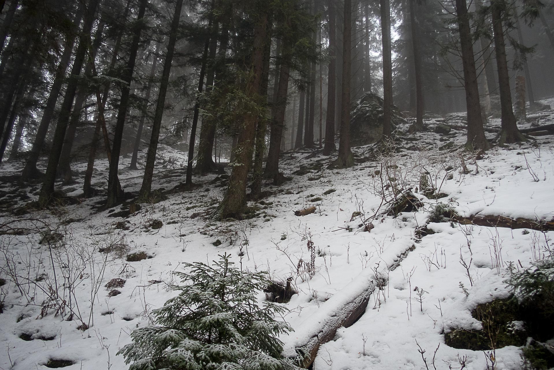 Poludnica zo Závažnej Poruby v zime (Nízke Tatry)