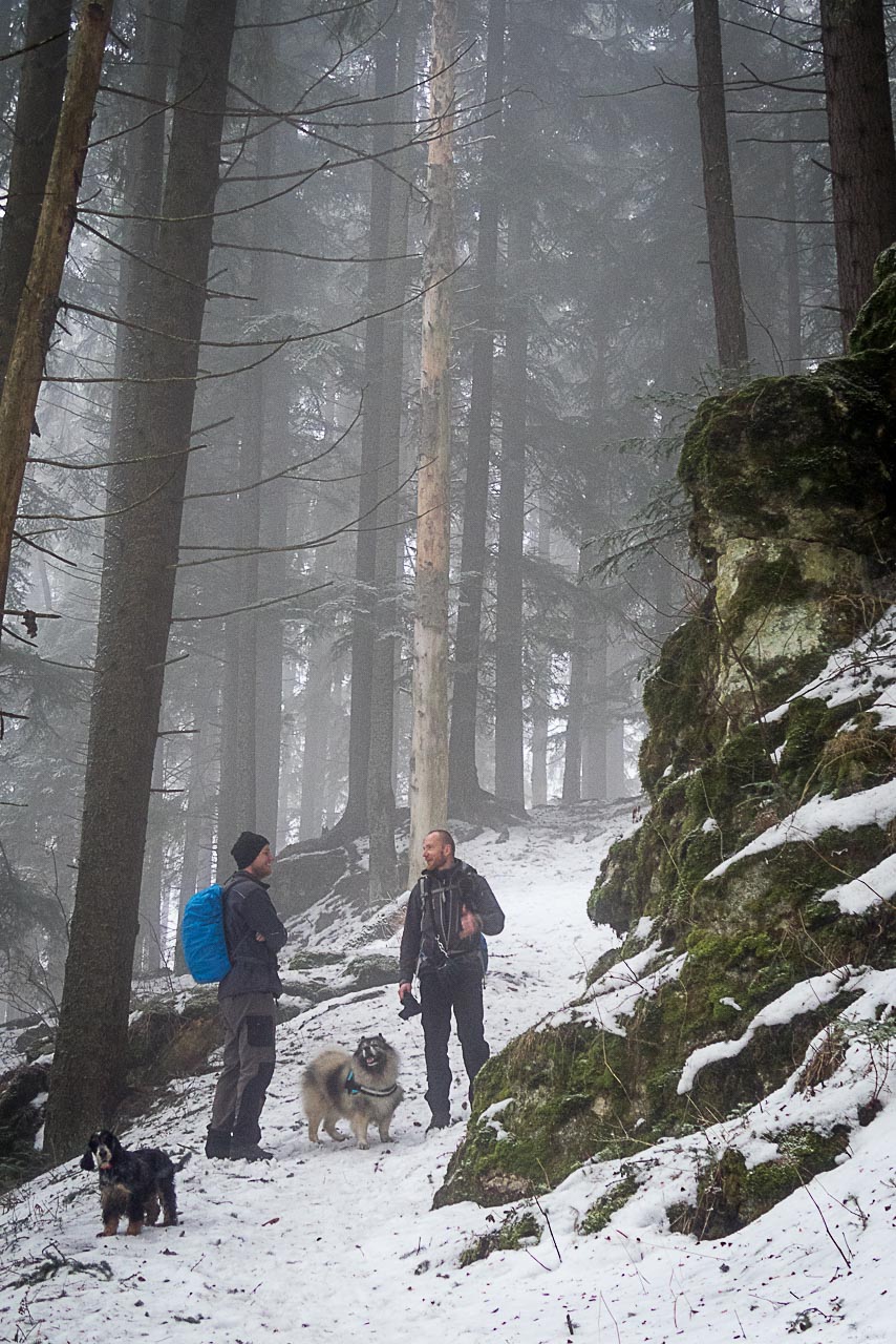 Poludnica zo Závažnej Poruby v zime (Nízke Tatry)