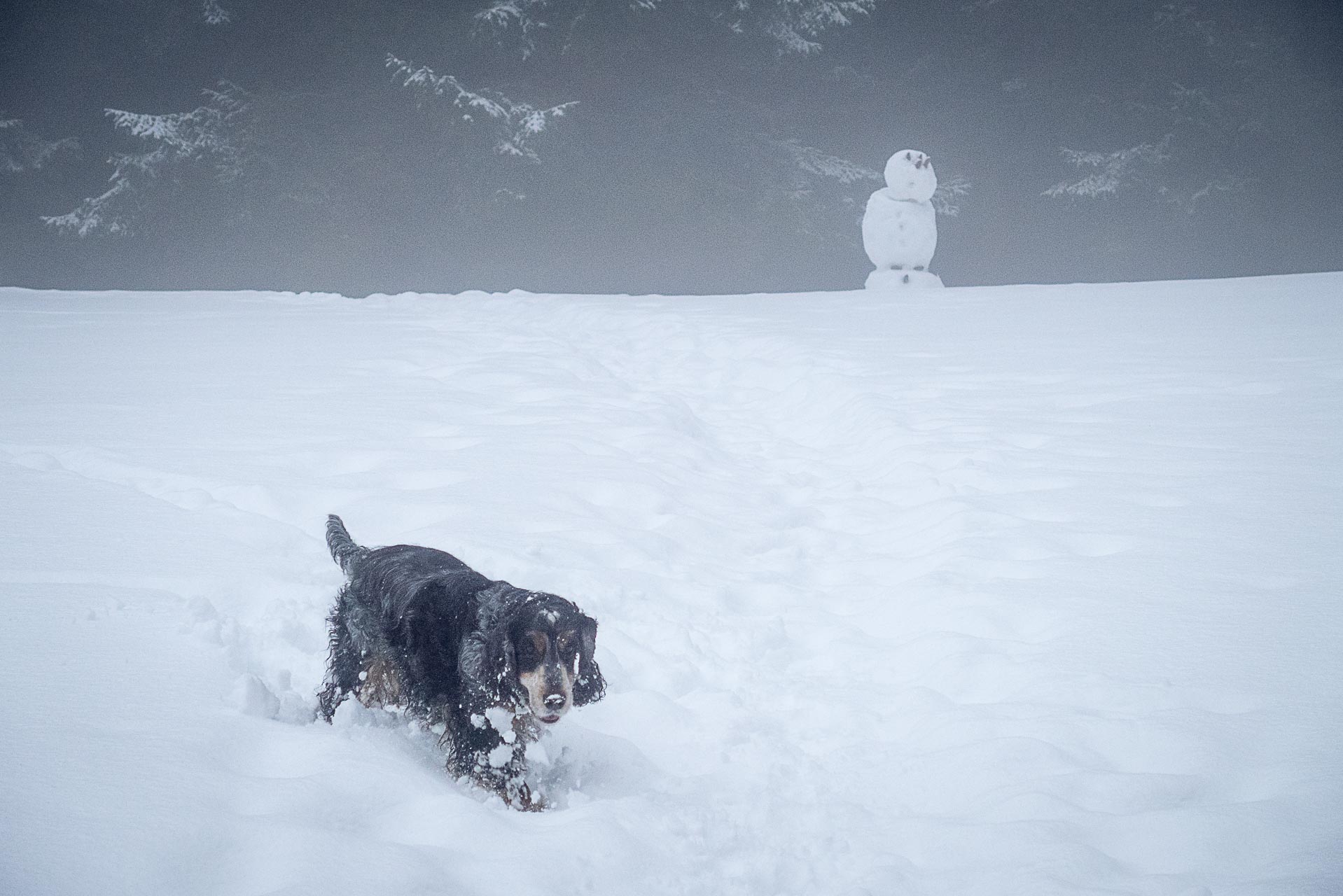 Poludnica zo Závažnej Poruby v zime (Nízke Tatry)