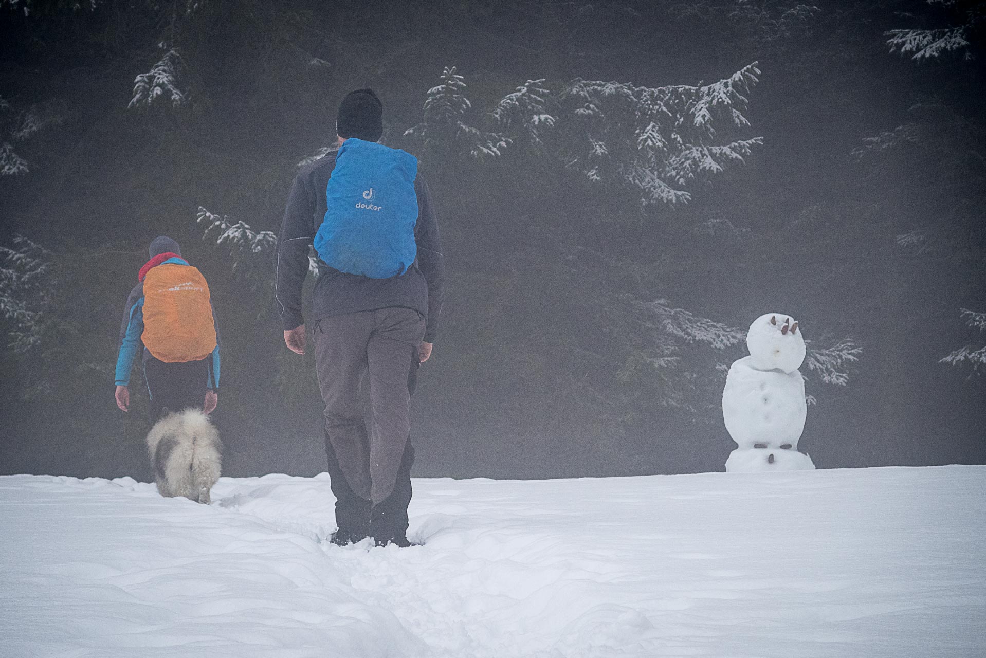 Poludnica zo Závažnej Poruby v zime (Nízke Tatry)